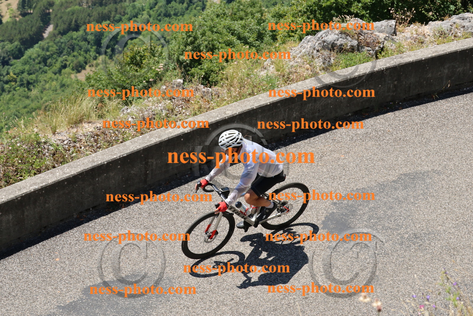 Col du Grand colombier (208).JPG