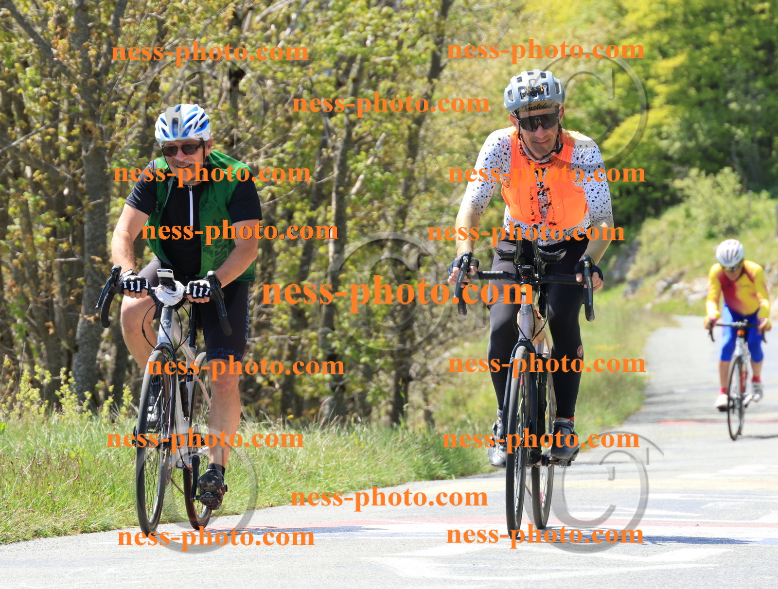 Col du Grand Colombier (138).JPG