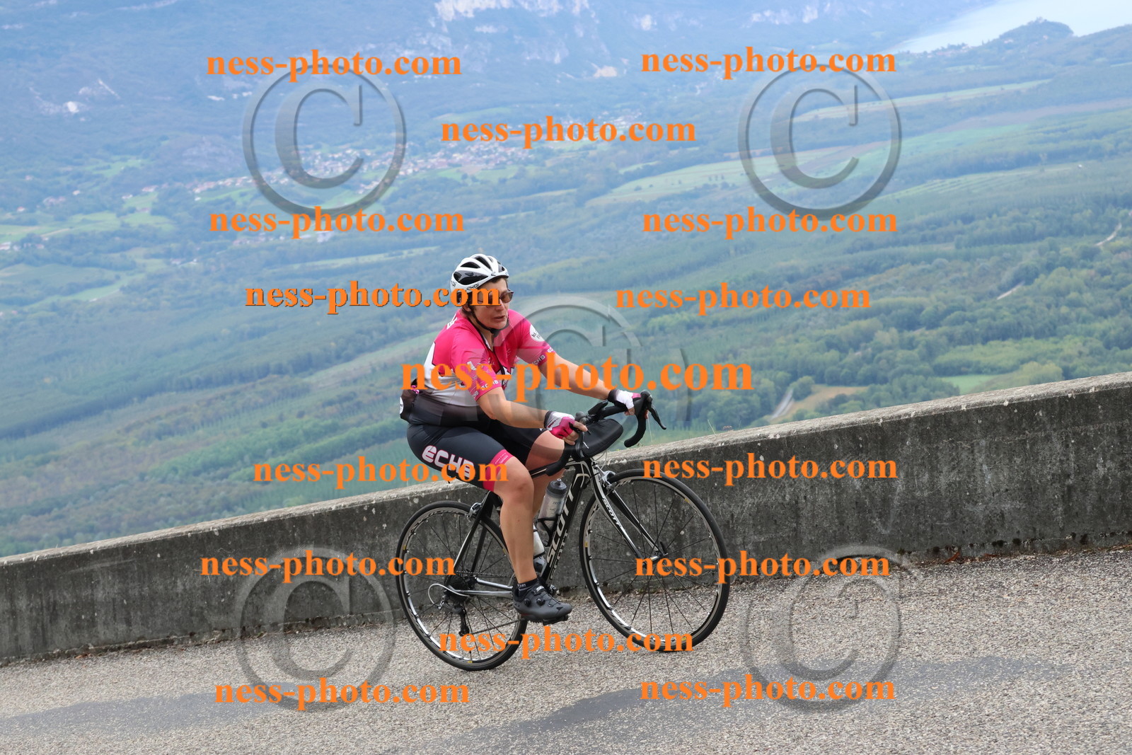 Col du Grand Colombier (1177).JPG