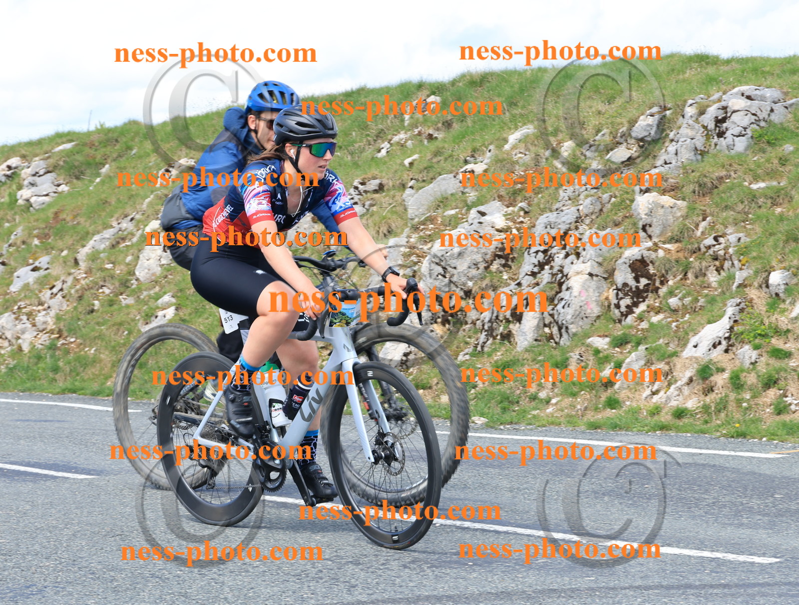 Col du Grand Colombier (2564).JPG