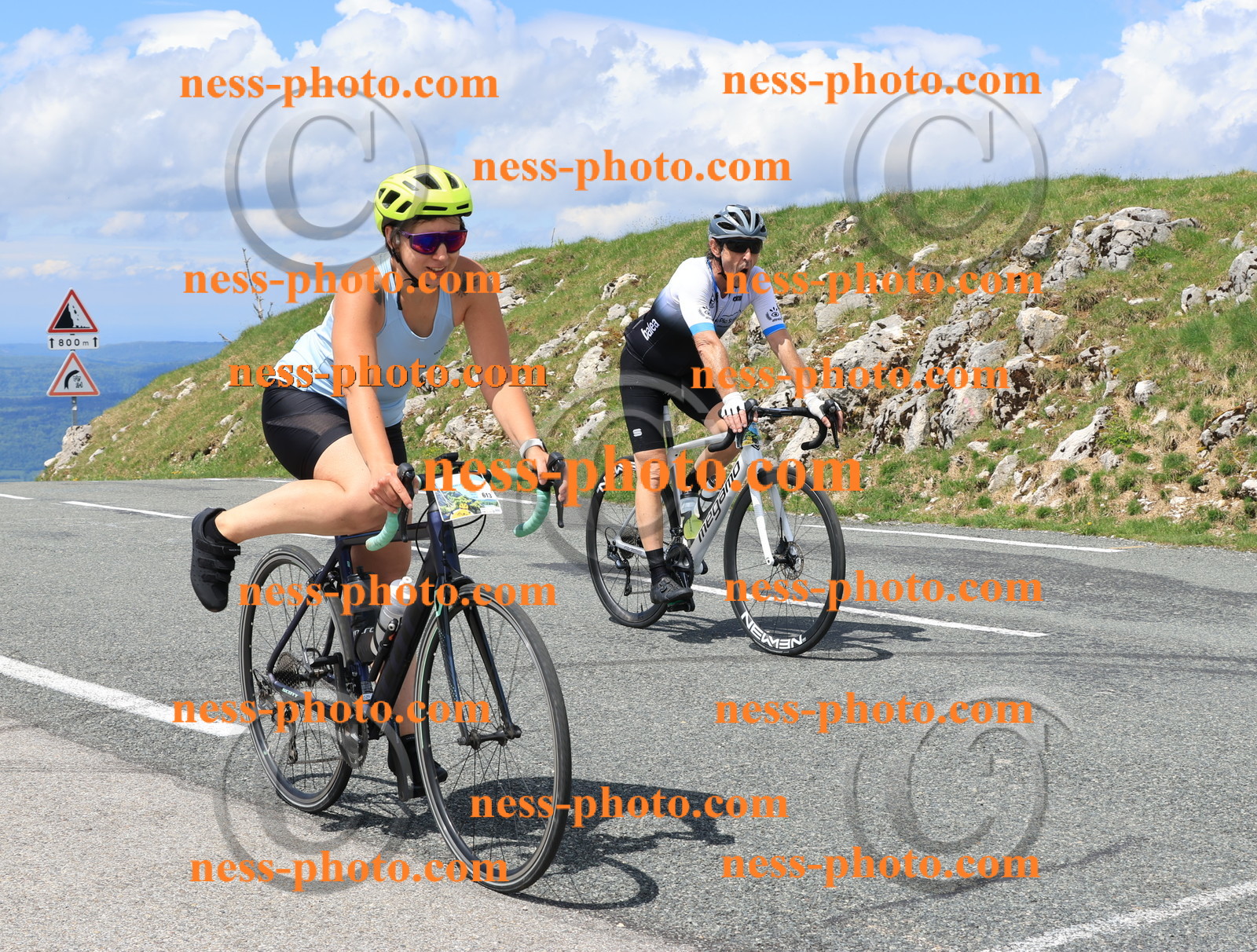 Col du Grand Colombier (2615).JPG