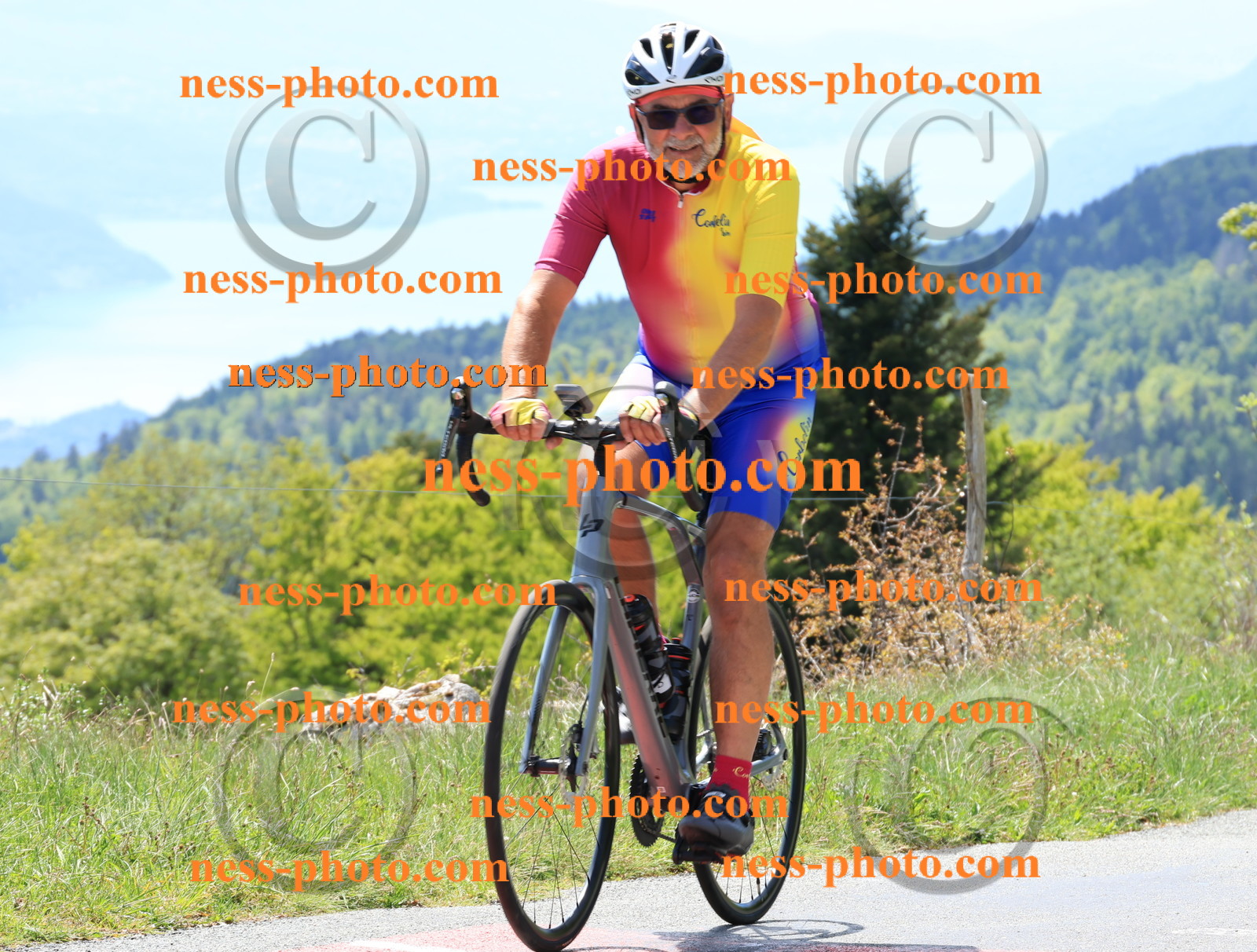 Col du Grand Colombier (206).JPG