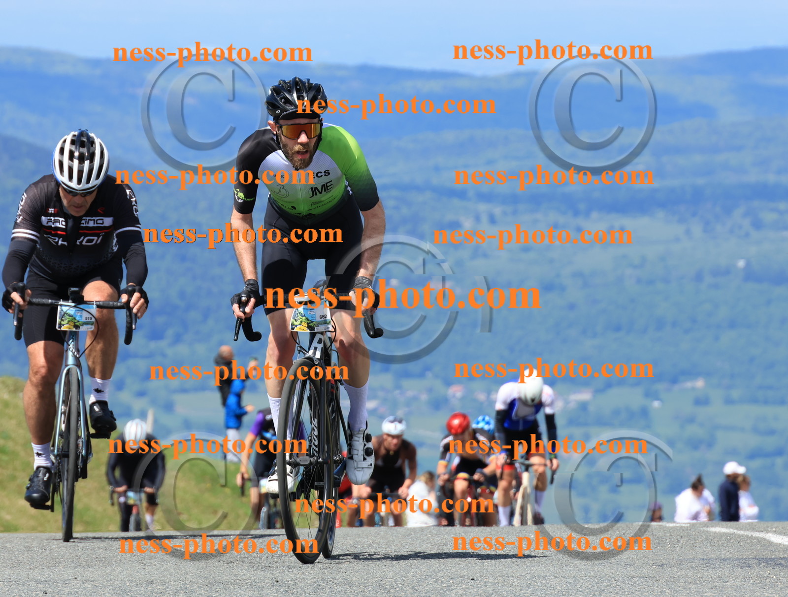 Col du Grand Colombier (1298).JPG