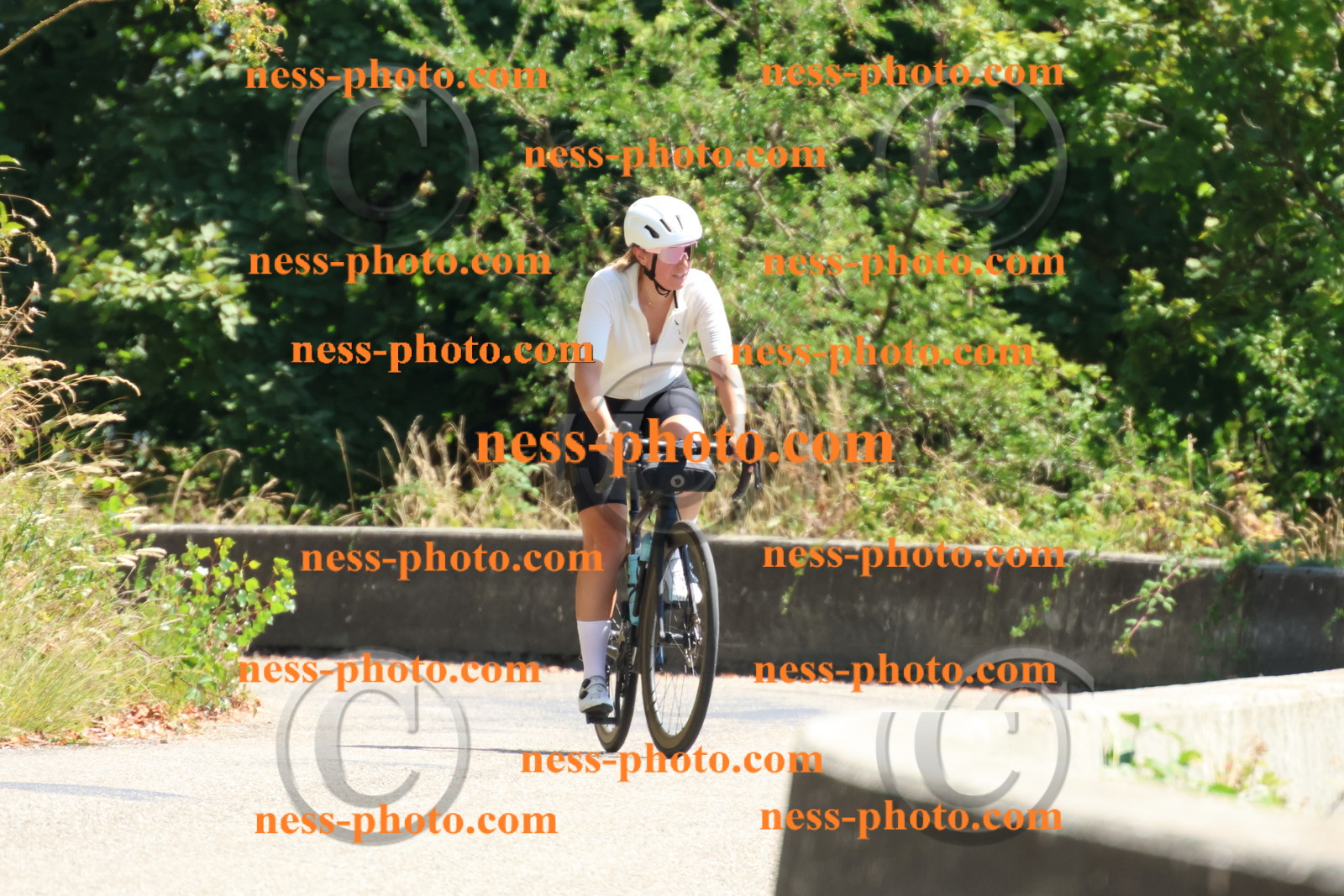 Col du Grand Colombier (464).JPG