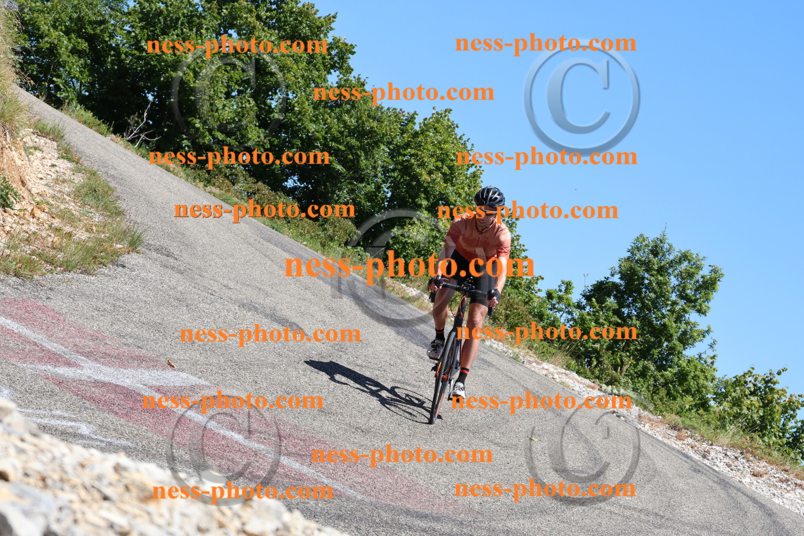 Col du Grand Colombier (188).JPG