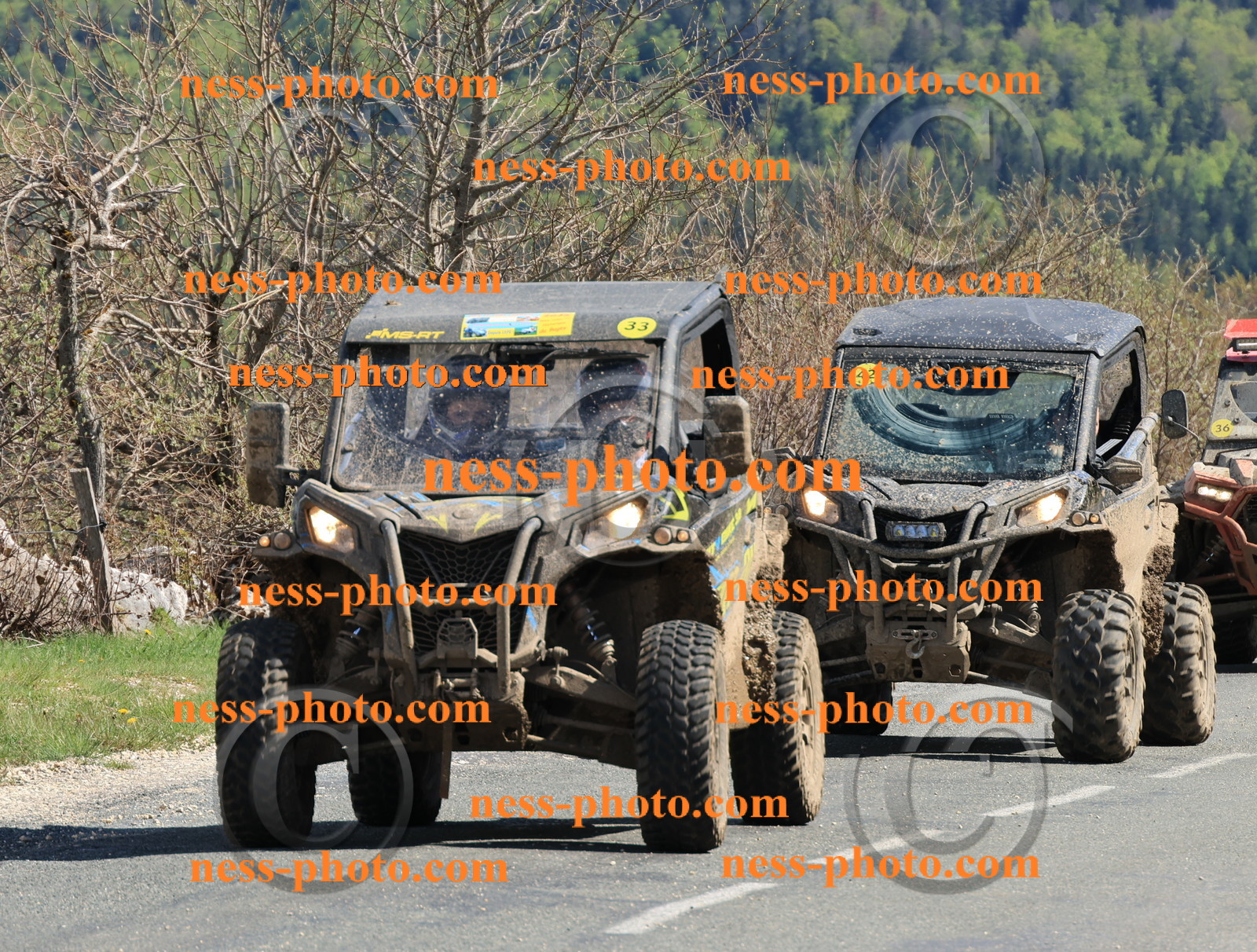 Col du Grand Colombier (219).JPG