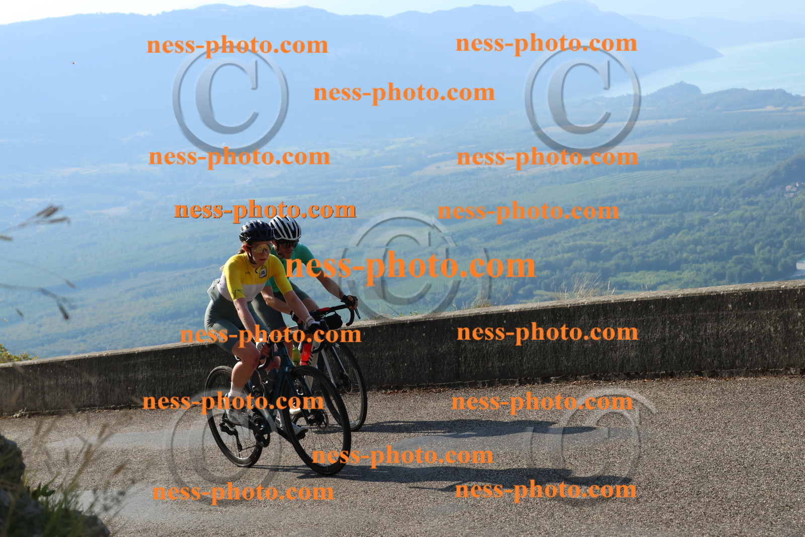 Col du Grand Colombier (878).JPG