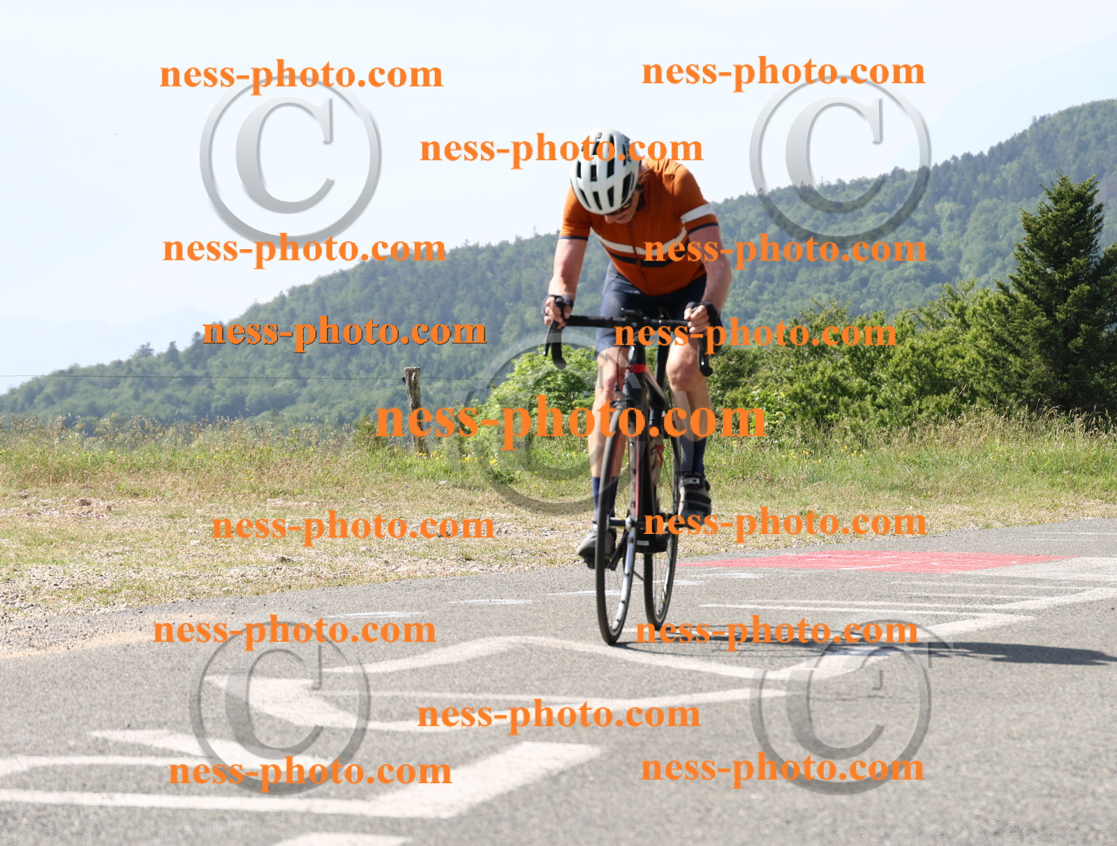 Col du grand Colombier (564).JPG