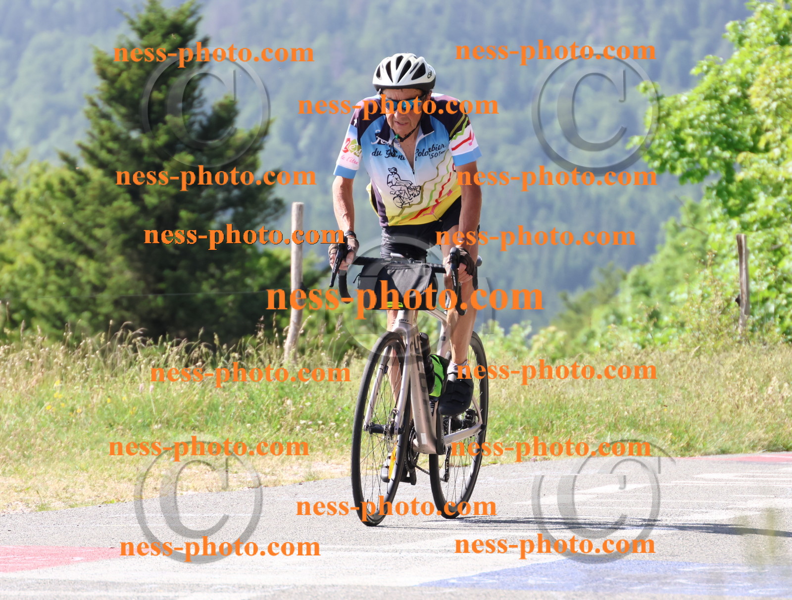 Col du grand Colombier (518).JPG