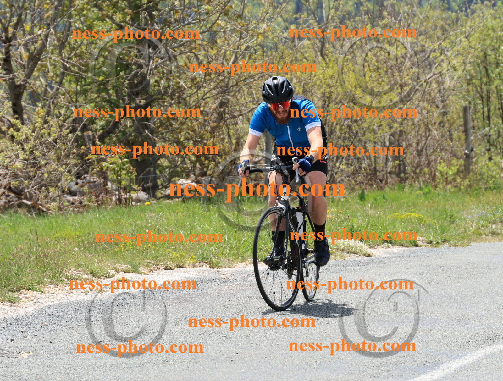 Col du Grand Colombier (295).JPG