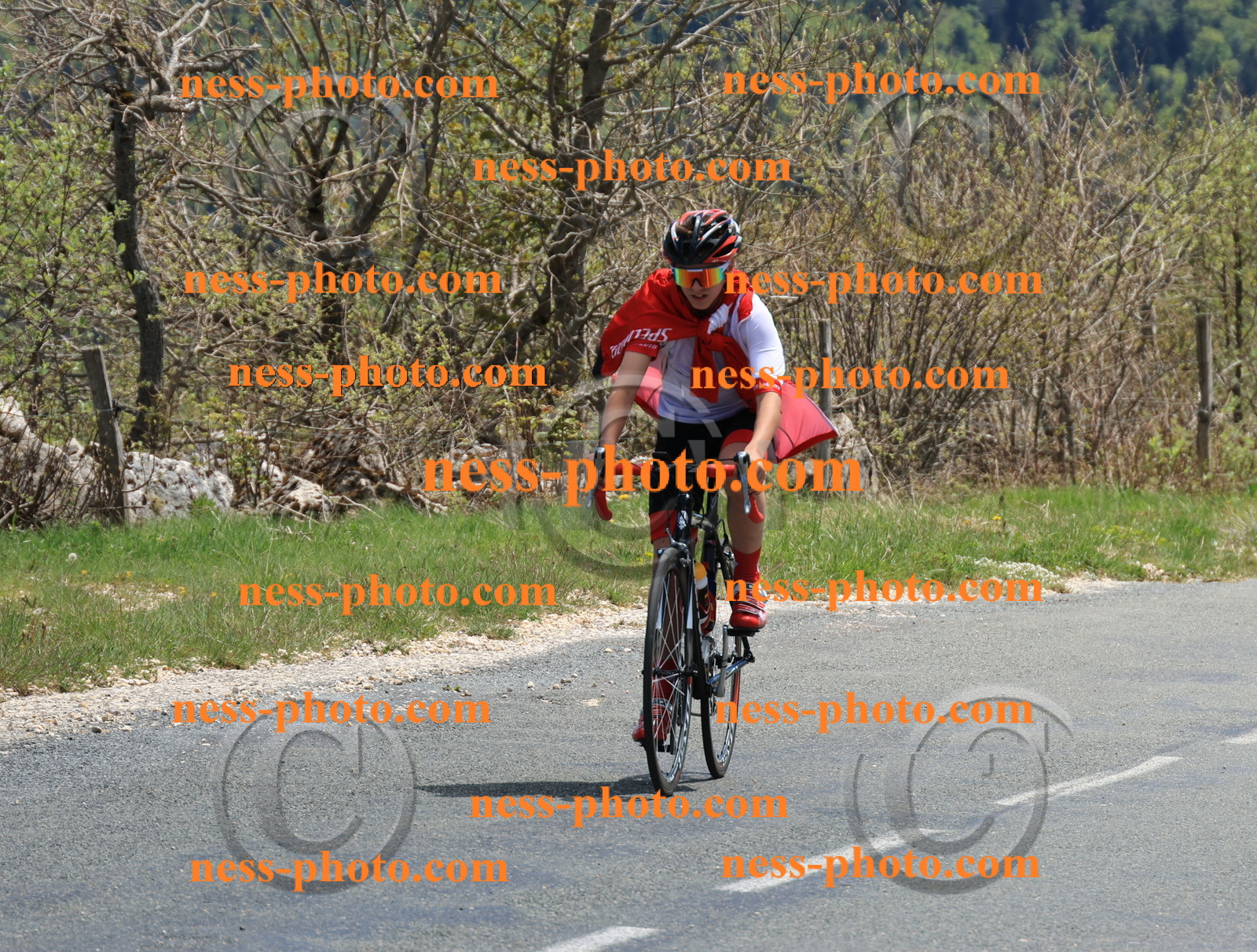 Col du Grand Colombier (520).JPG