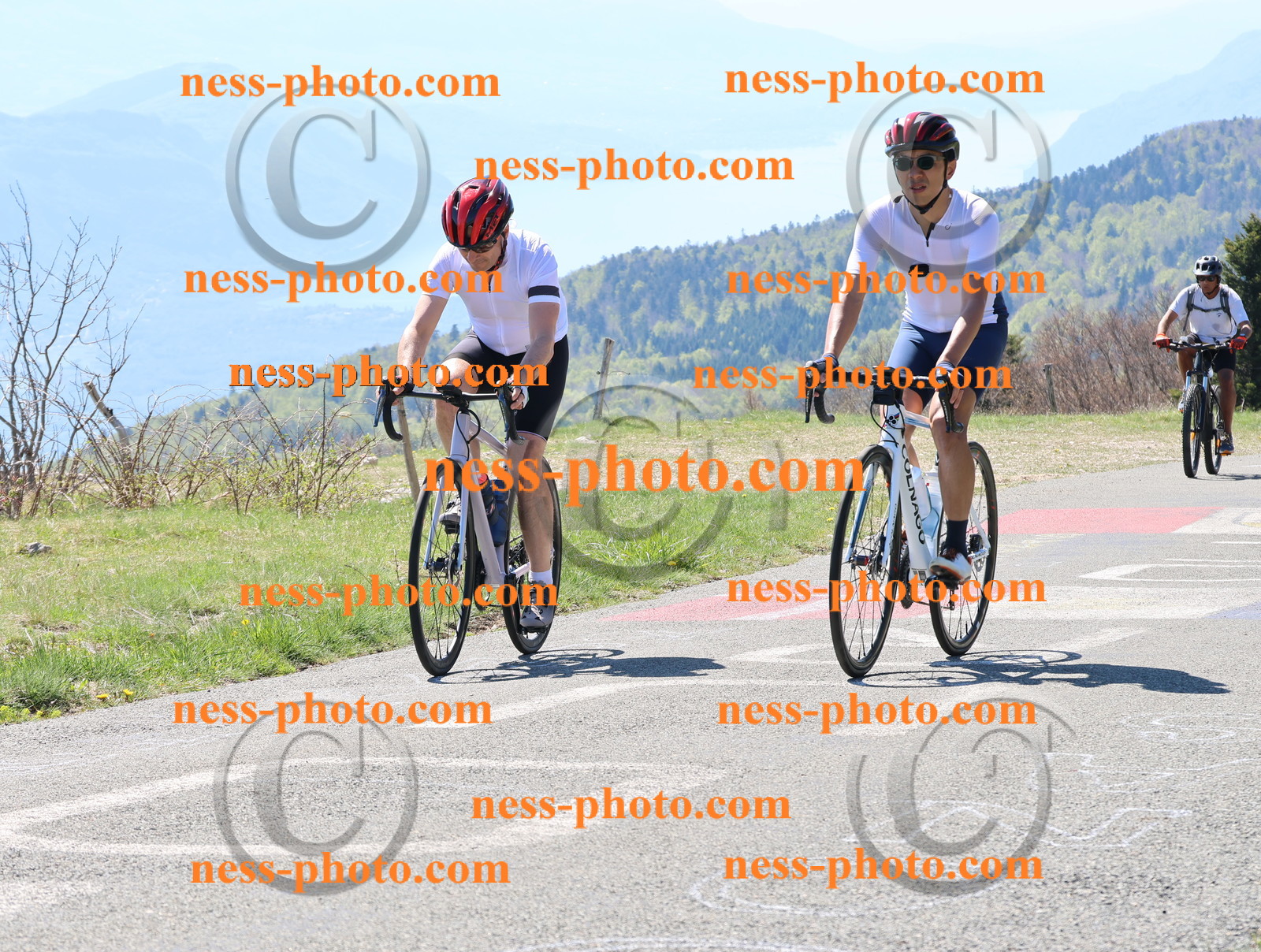 Col du Grand Colombier (153).JPG