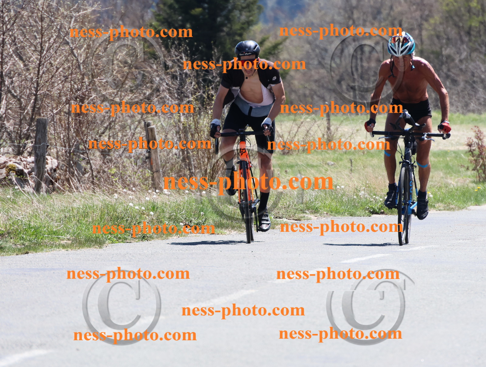 Col du Grand Colombier (797).JPG