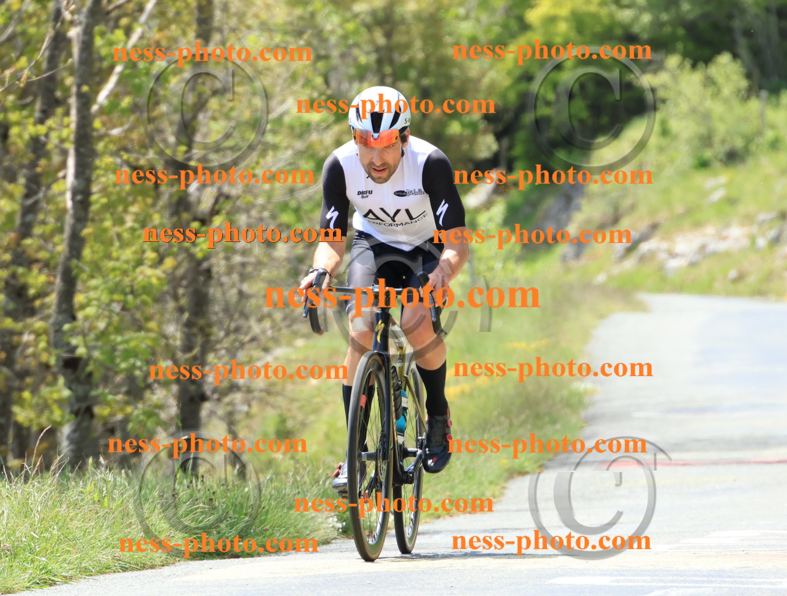 Col du Grand Colombier (253).JPG