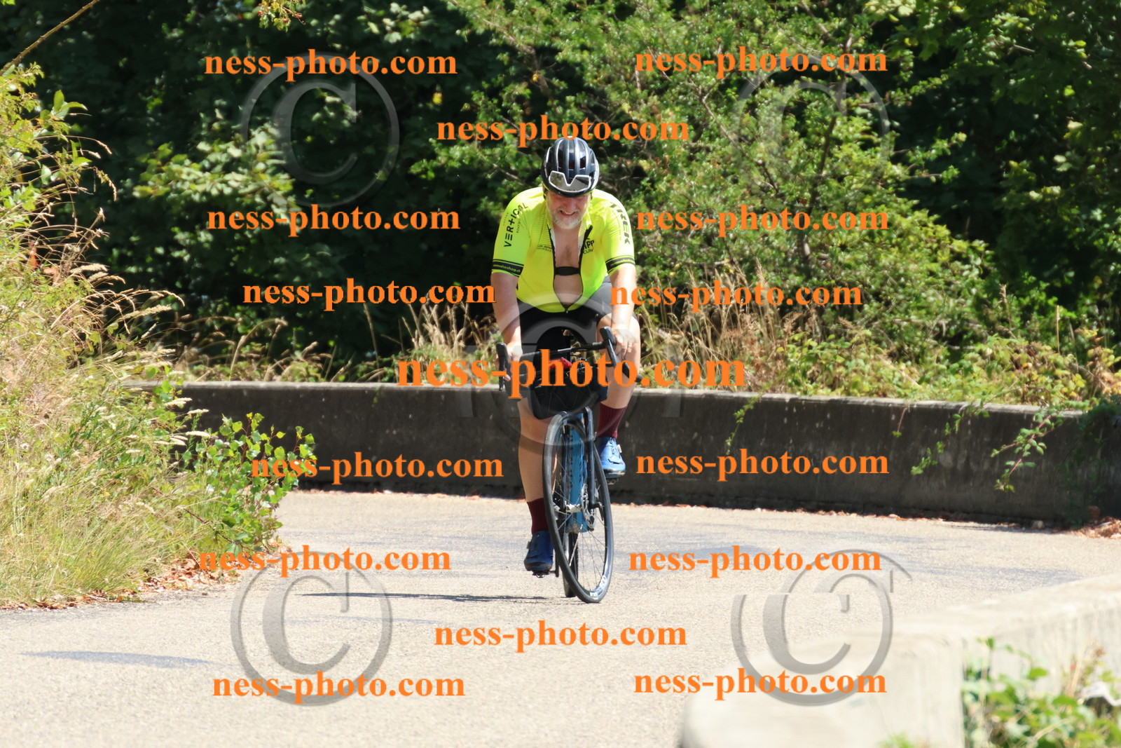 Col du Grand Colombier (504).JPG