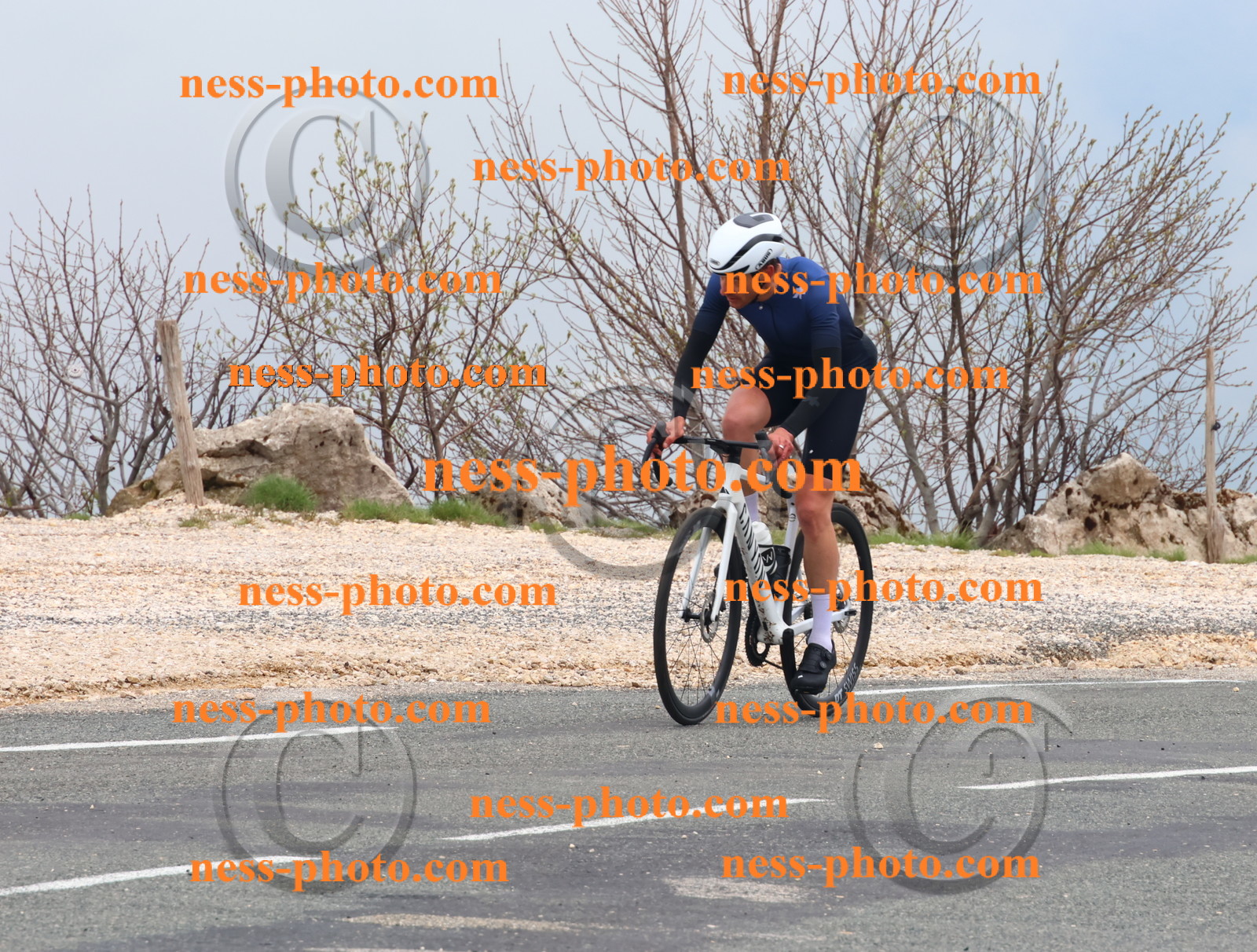 Col du Grand Colombier (481).JPG