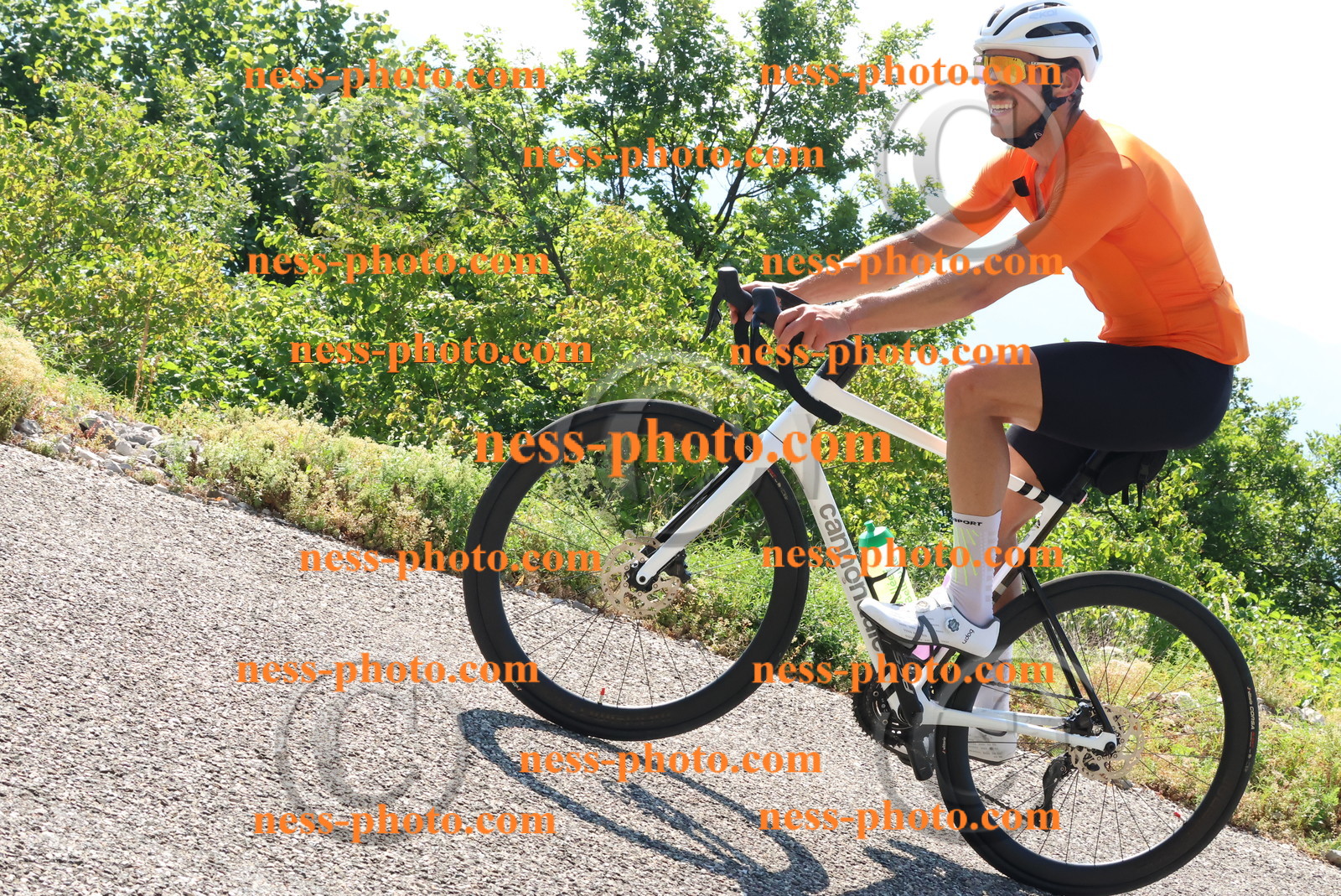 Col du Grand Colombier (225).JPG