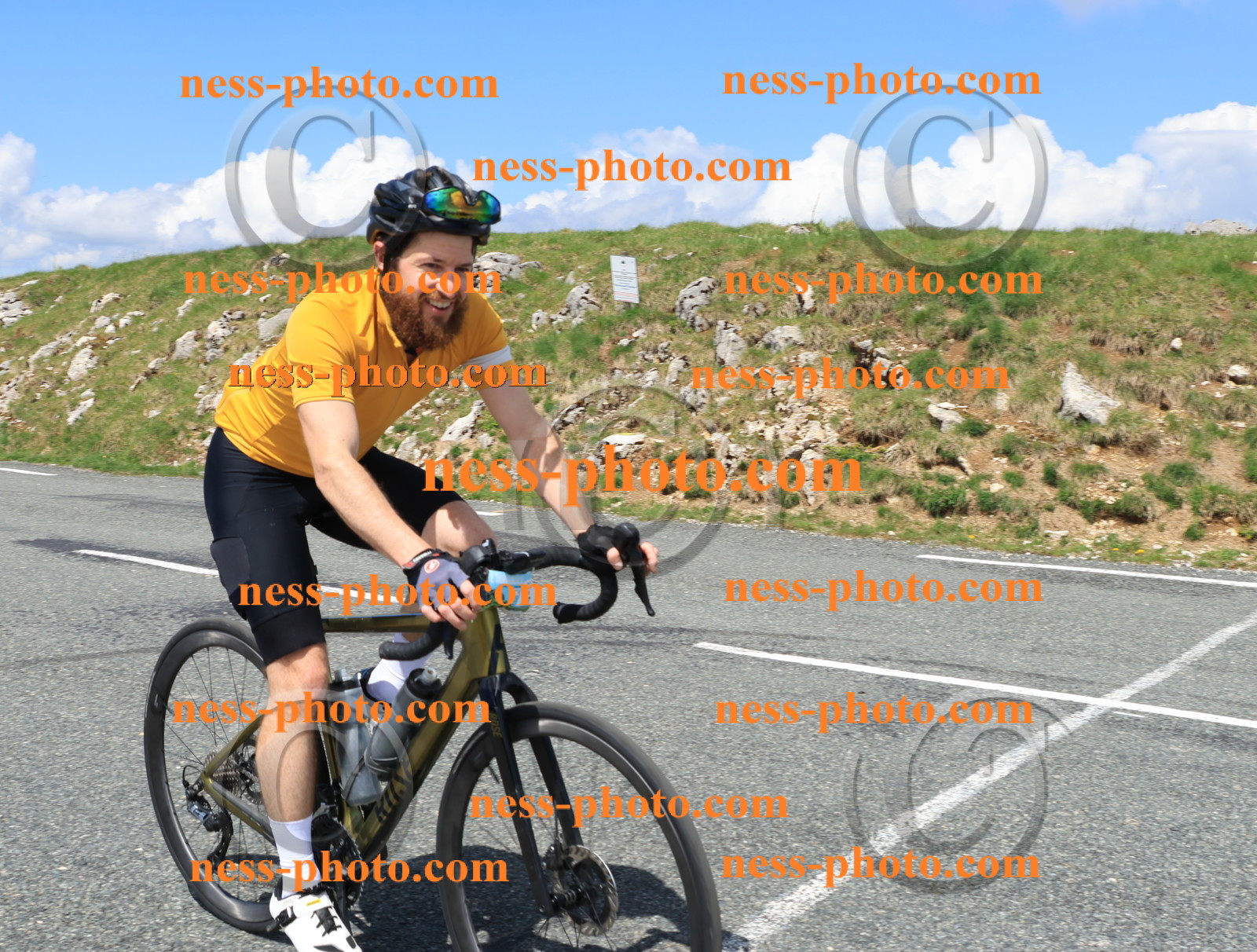 Col du Grand Colombier (2390).JPG