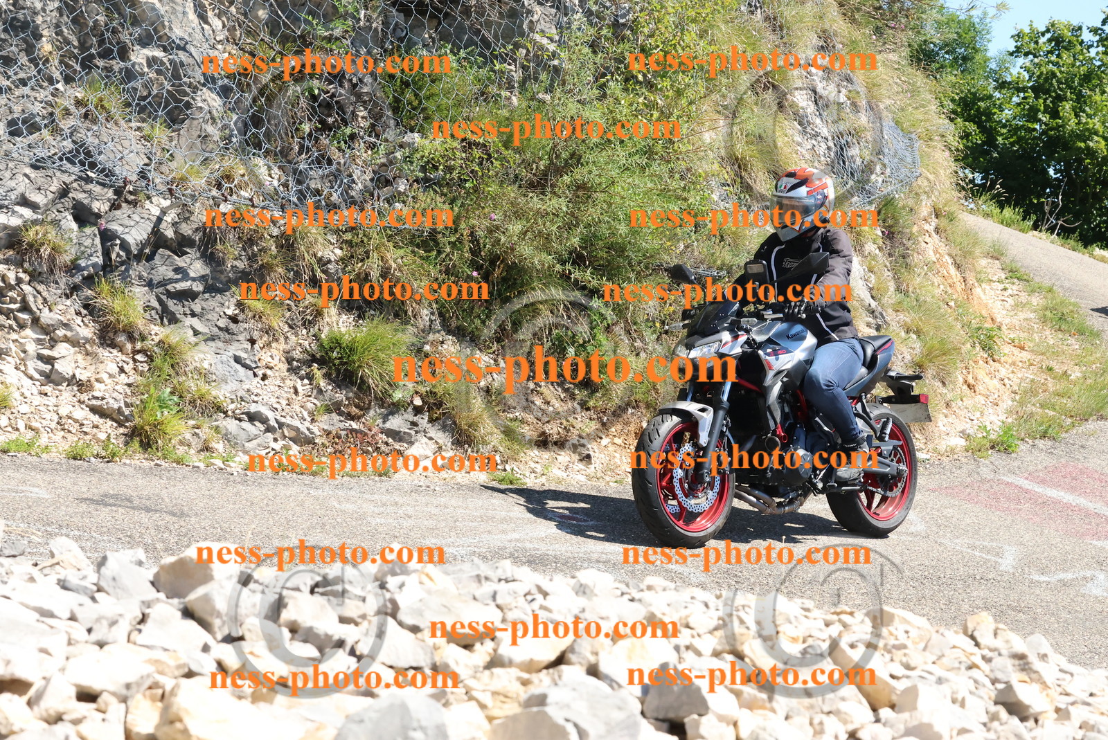 Col du Grand Colombier (306).JPG