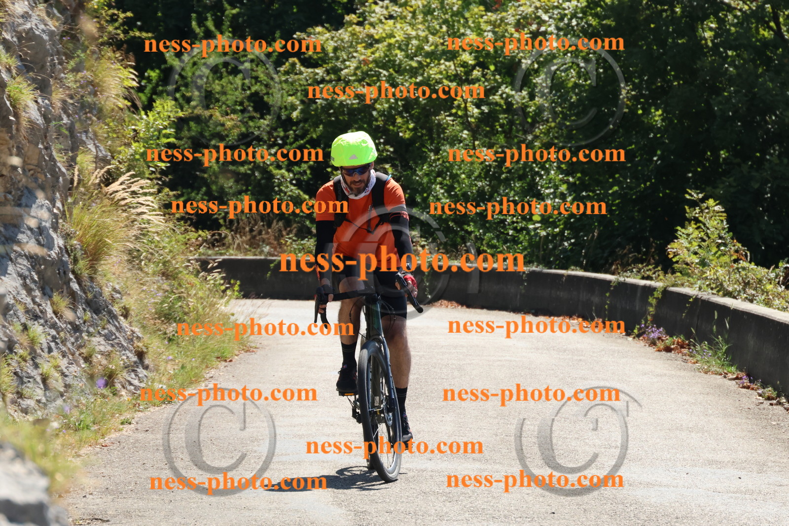 Col du Grand Colombier (156).JPG