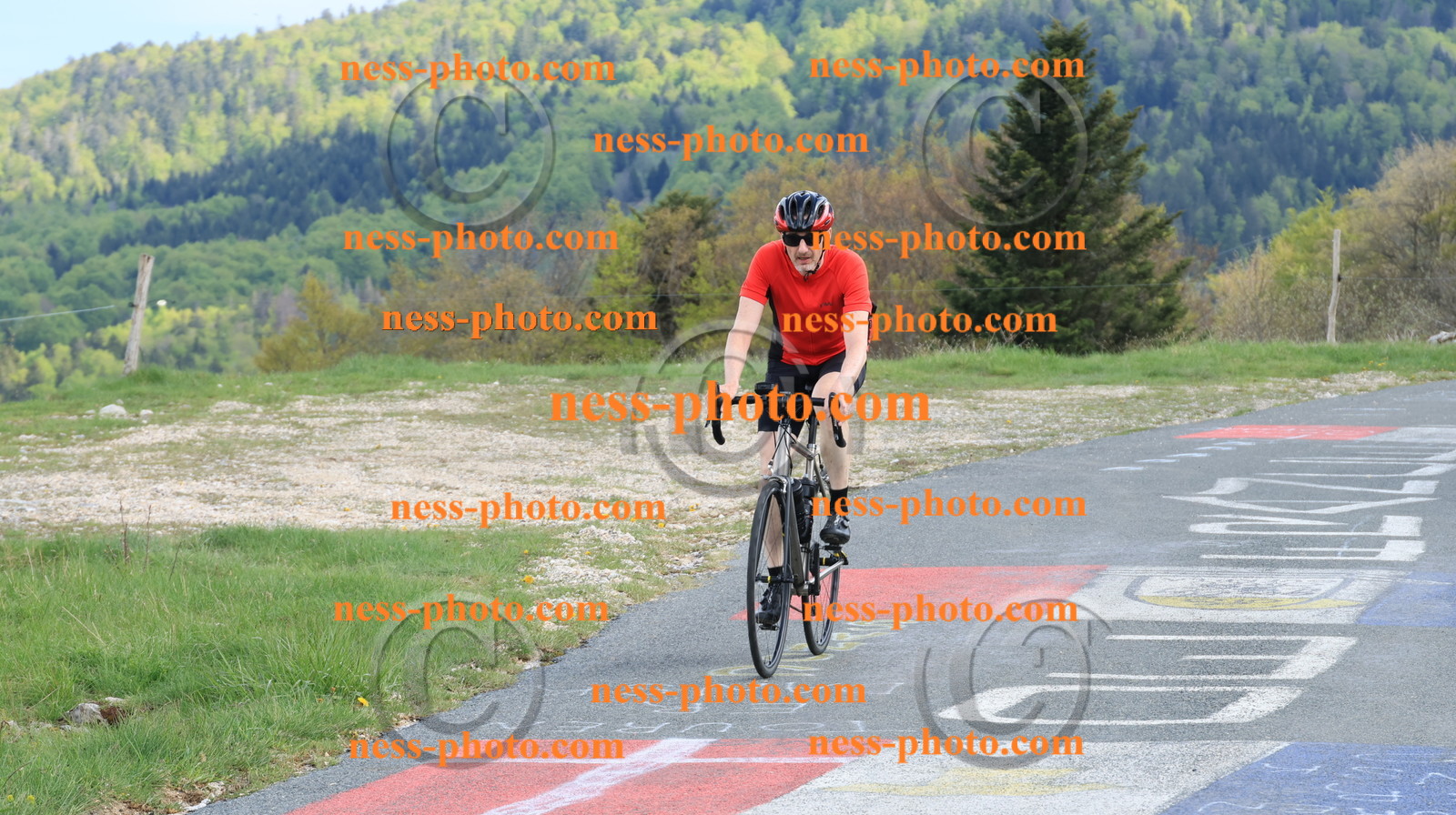 Col du Grand Colombier (3244).JPG