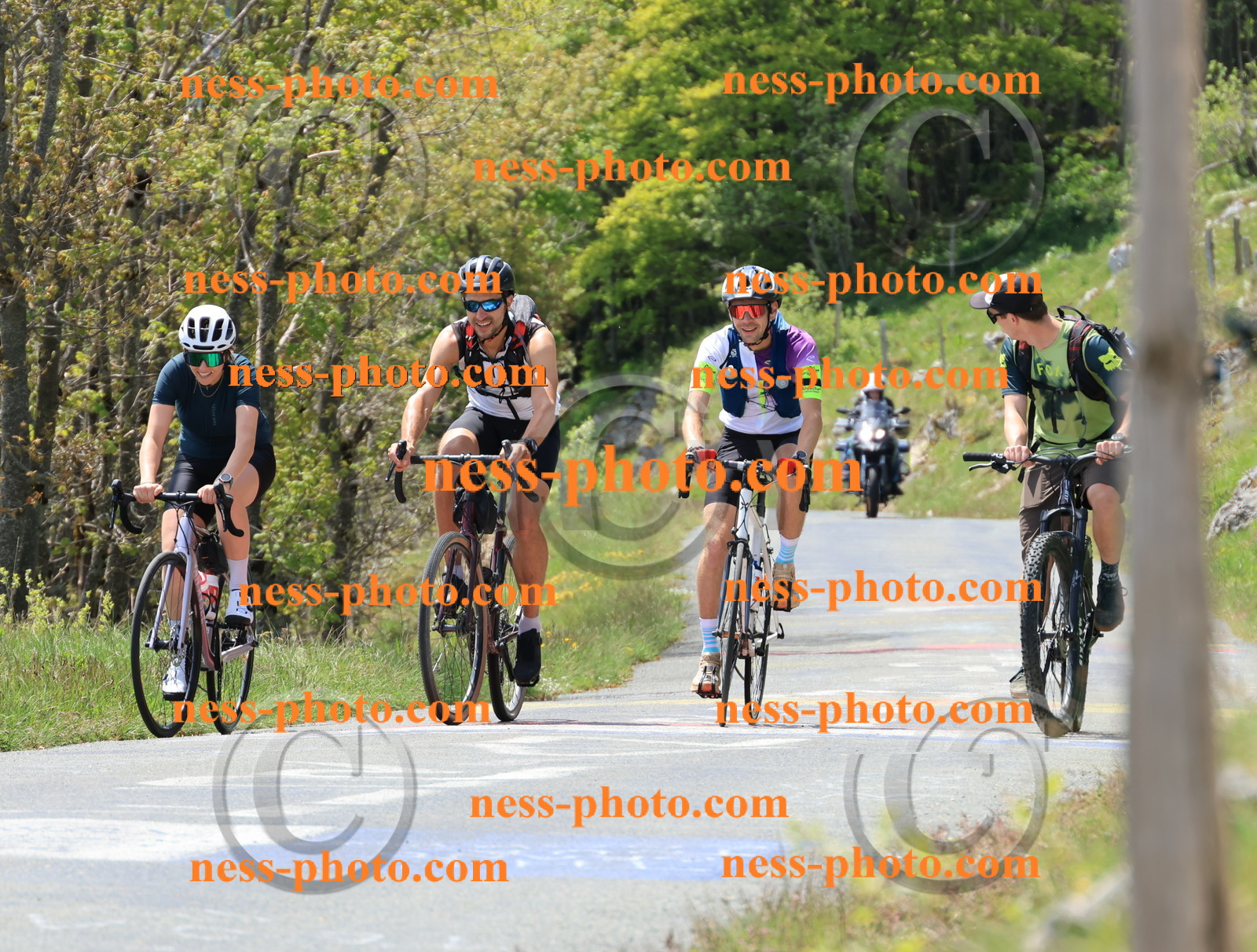 Col du Grand Colombier (274).JPG