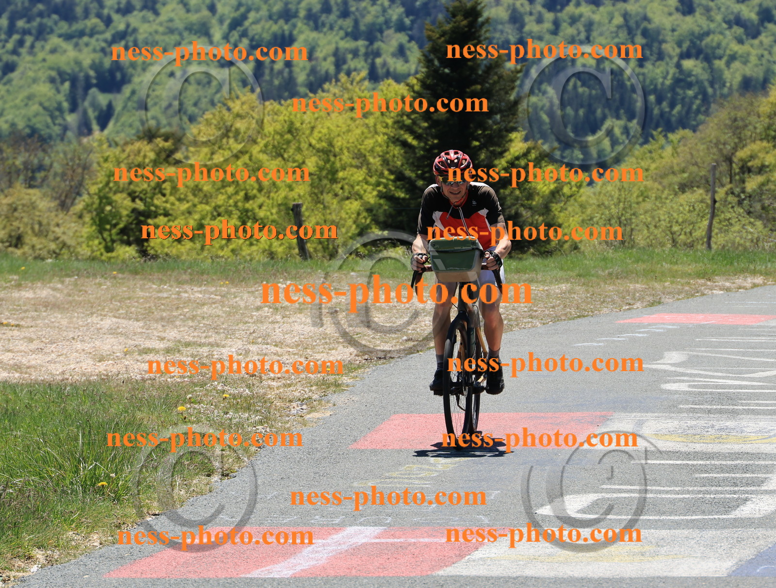 Col du Grand Colombier (330).JPG