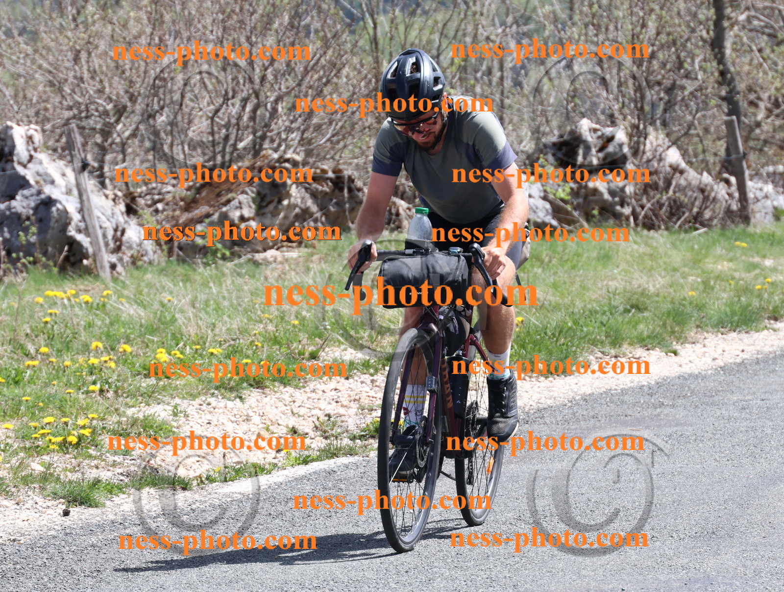 Col du Grand Colombier (877).JPG