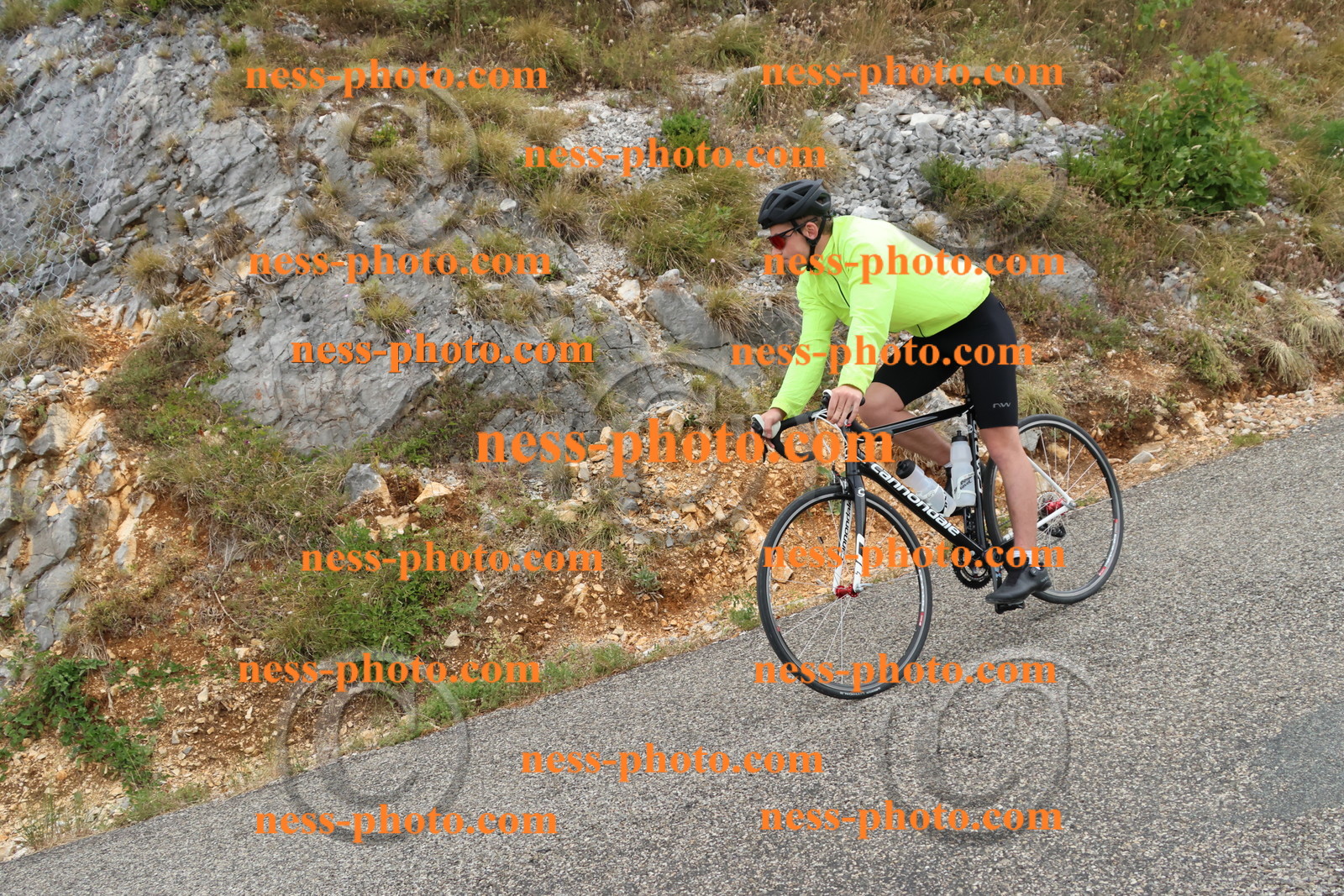 Col du Grand Colombier  (774).JPG