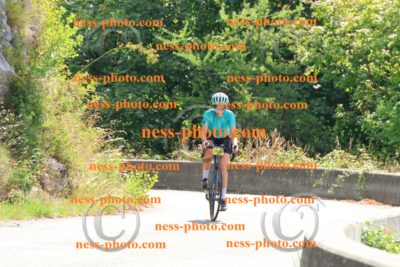 Col du Grand Colombier (79).JPG