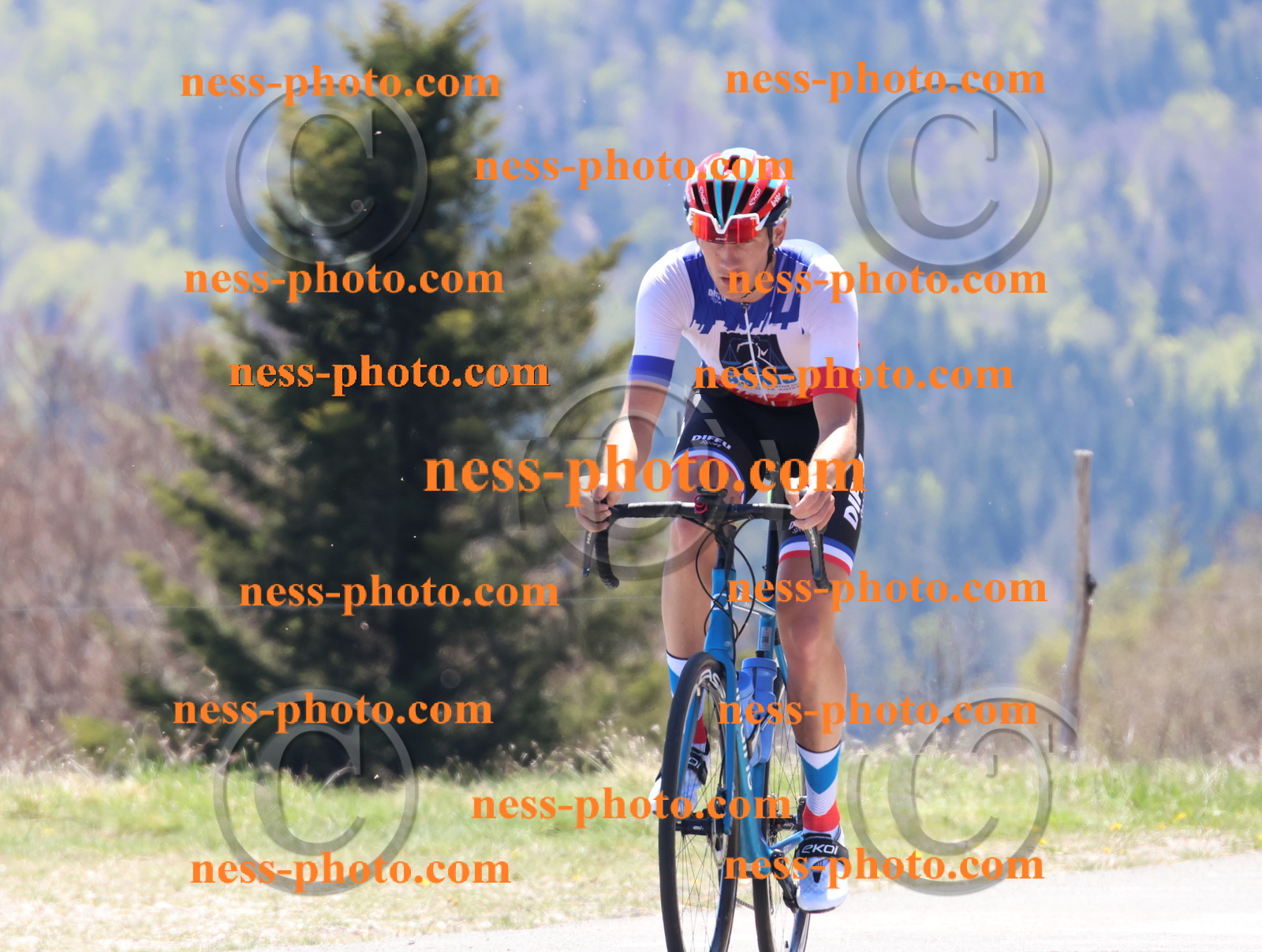 Col du Grand Colombier (541).JPG