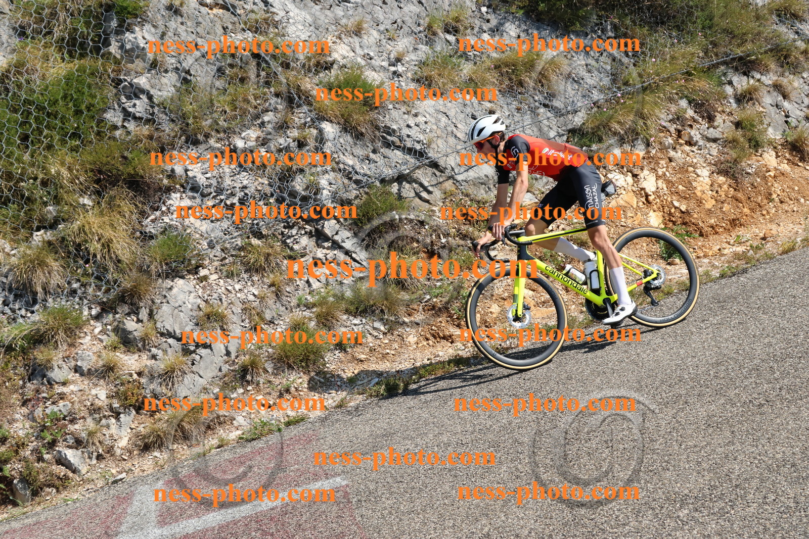 Col du Grand Colombier (383).JPG