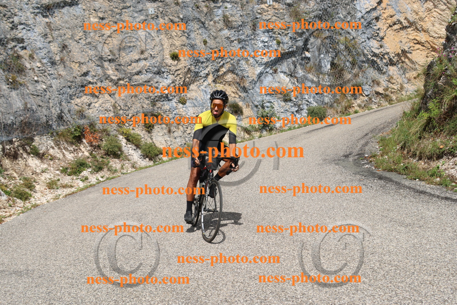 Col du Grand Colombier (643).JPG