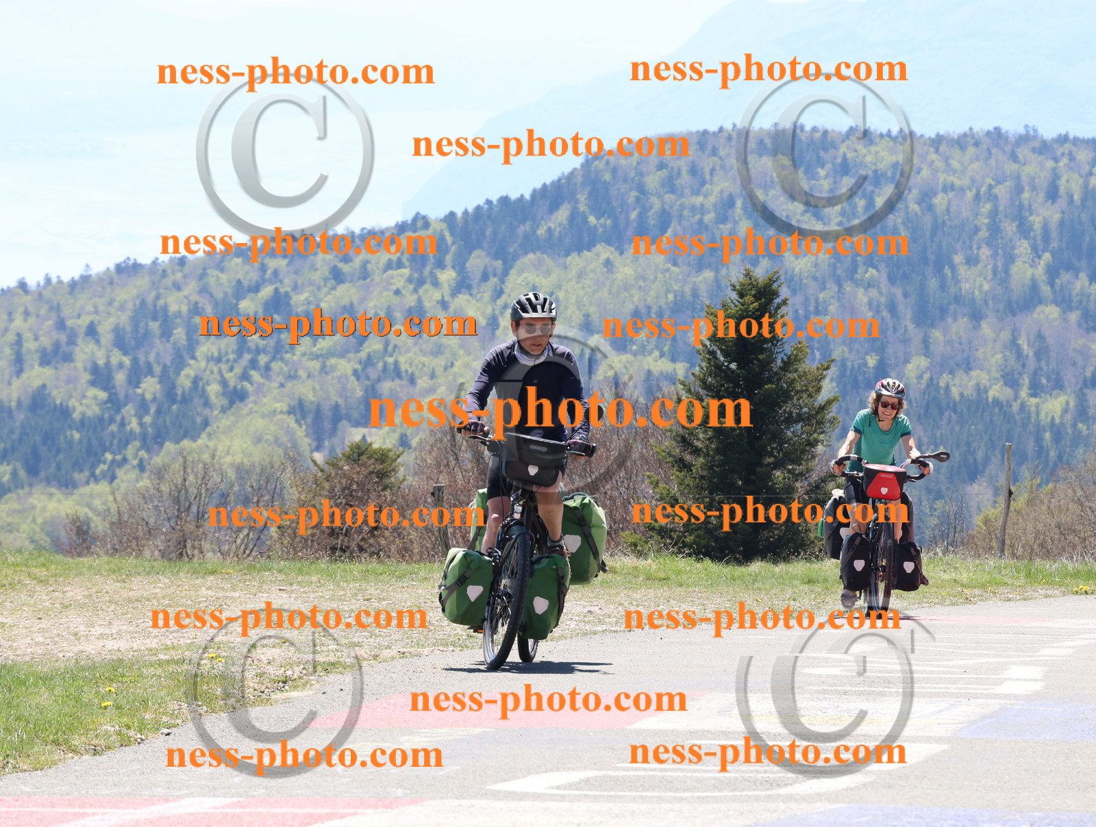 Col du Grand Colombier (440).JPG