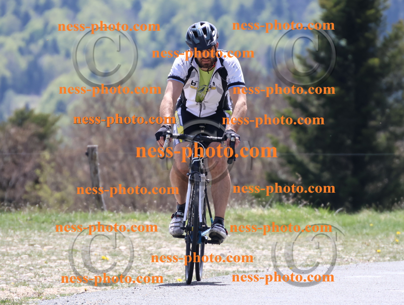 Col du Grand Colombier (579).JPG