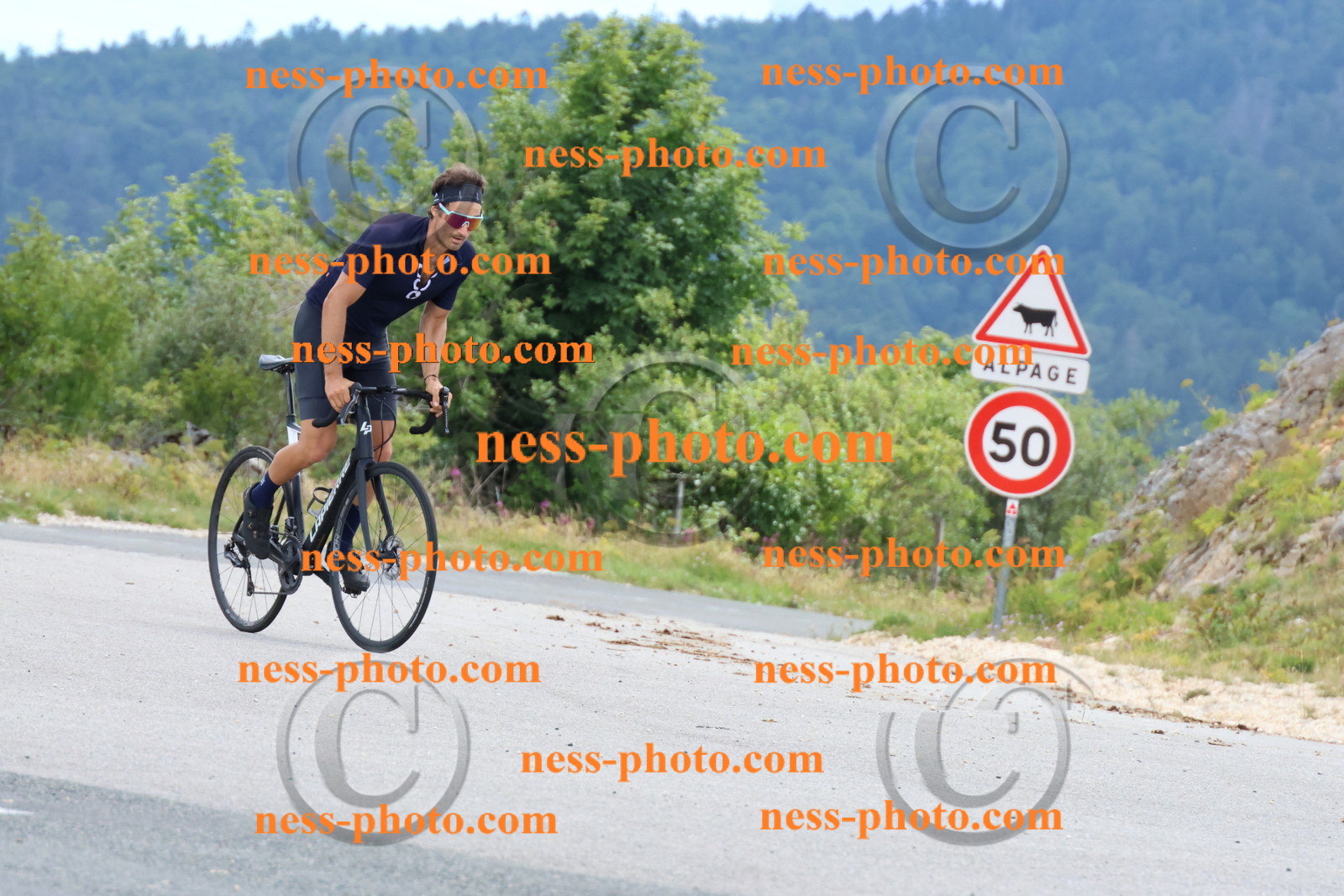 Col du Grand Colombier (243).JPG