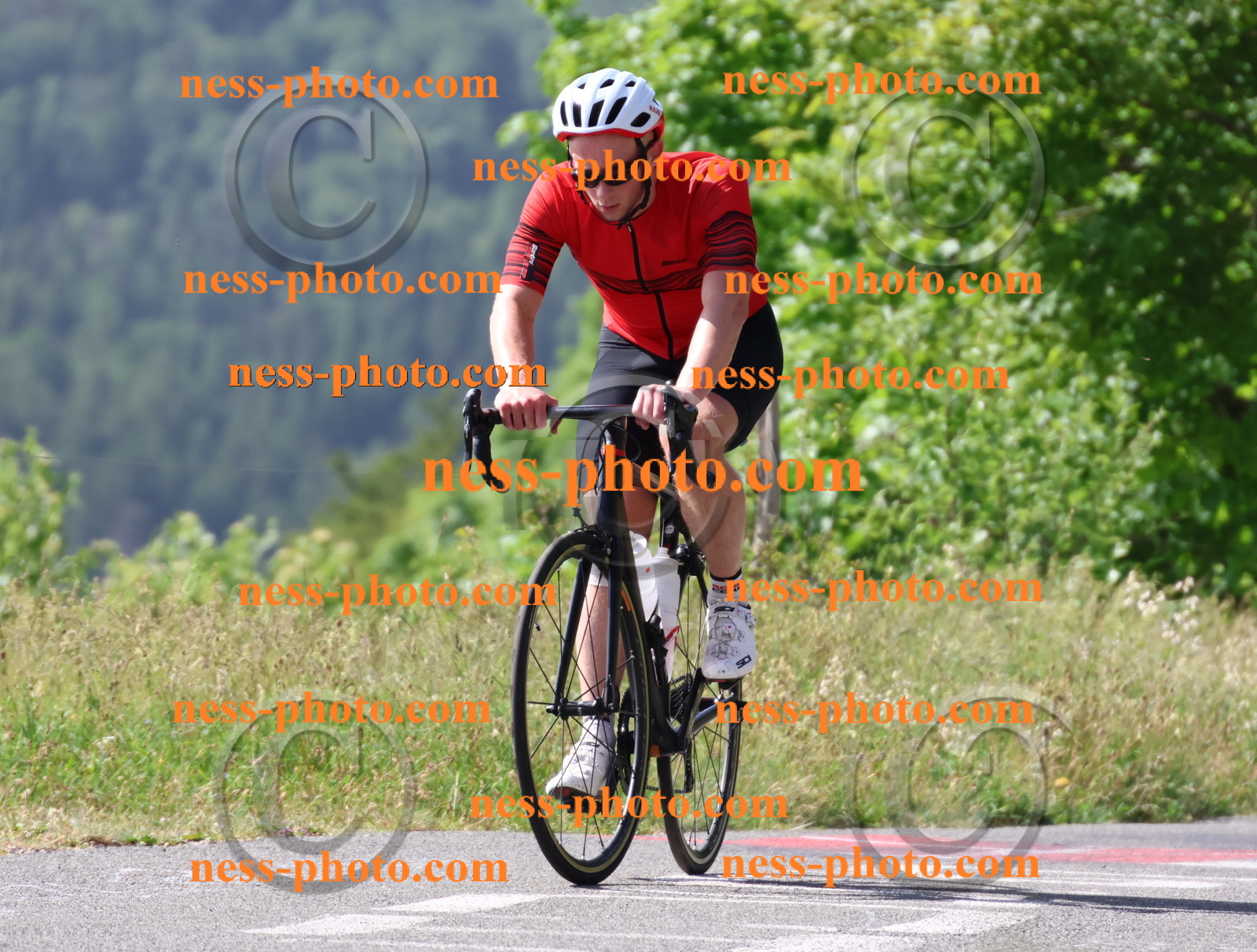 Col du grand Colombier (591).JPG