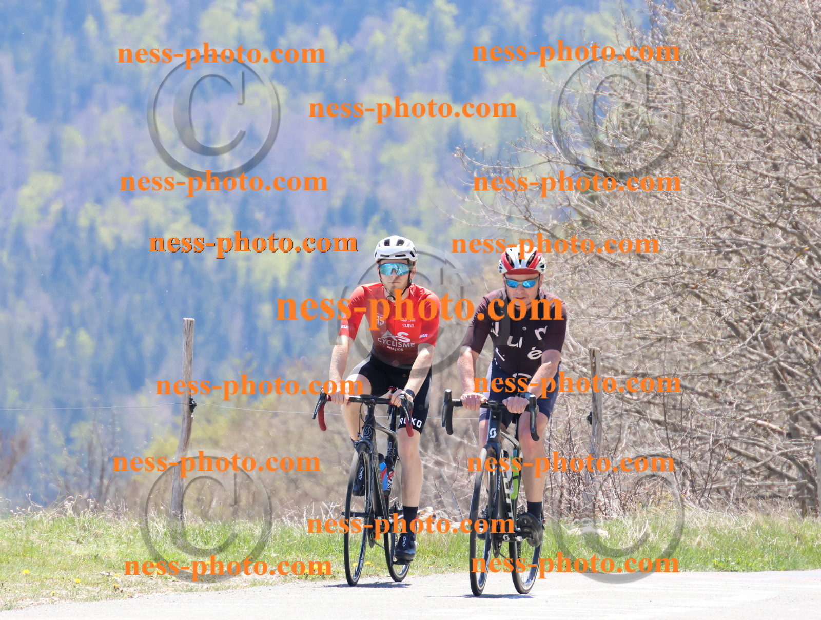 Col du Grand Colombier (596).JPG