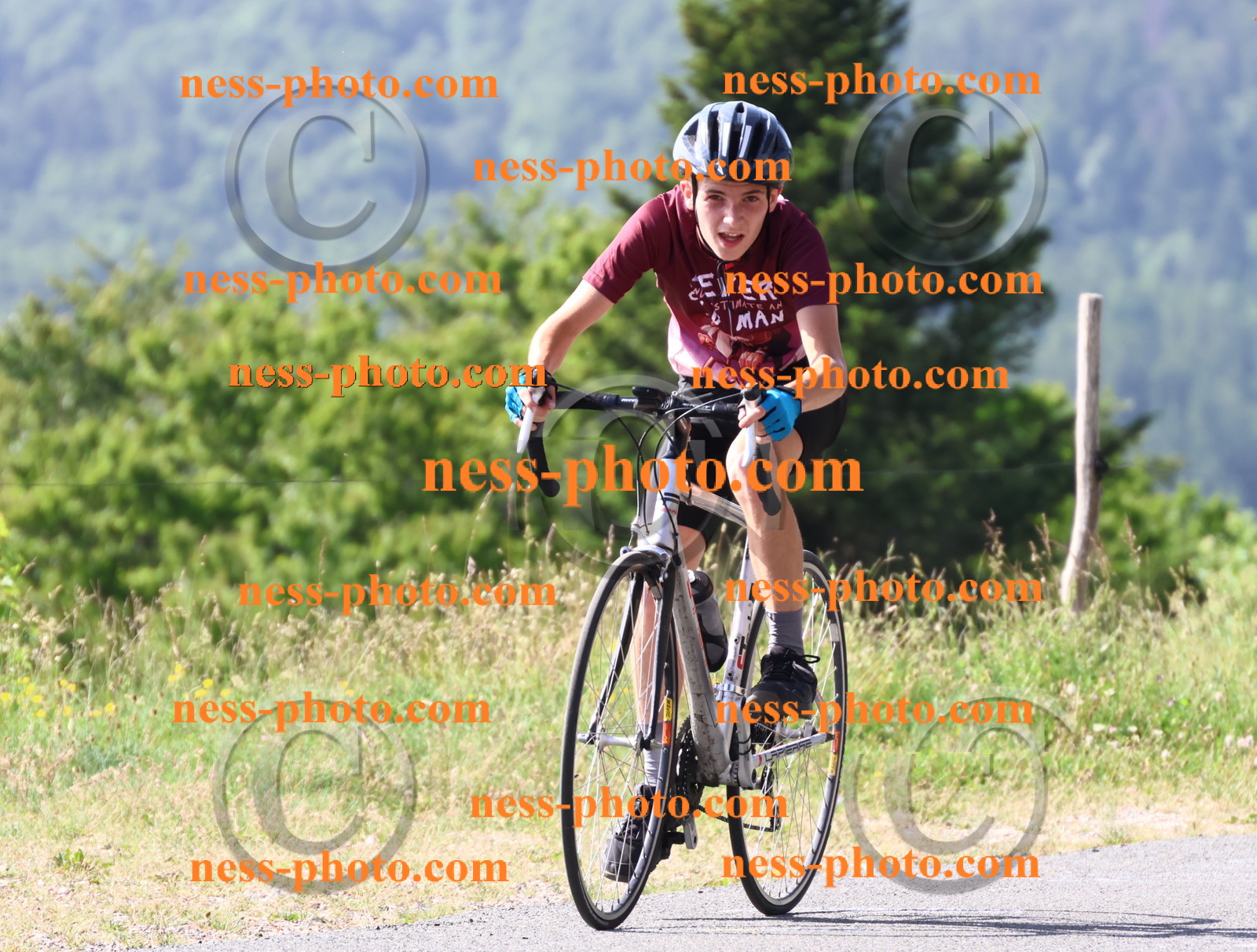 Col du grand Colombier (268).JPG