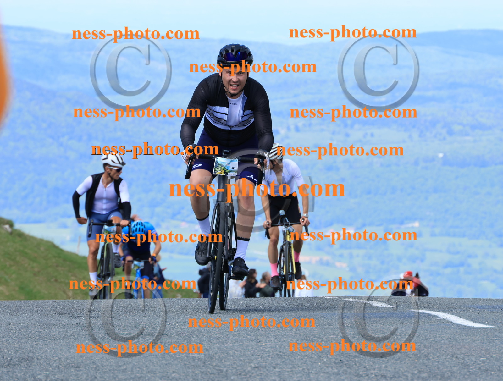 Col du Grand Colombier (1095).JPG