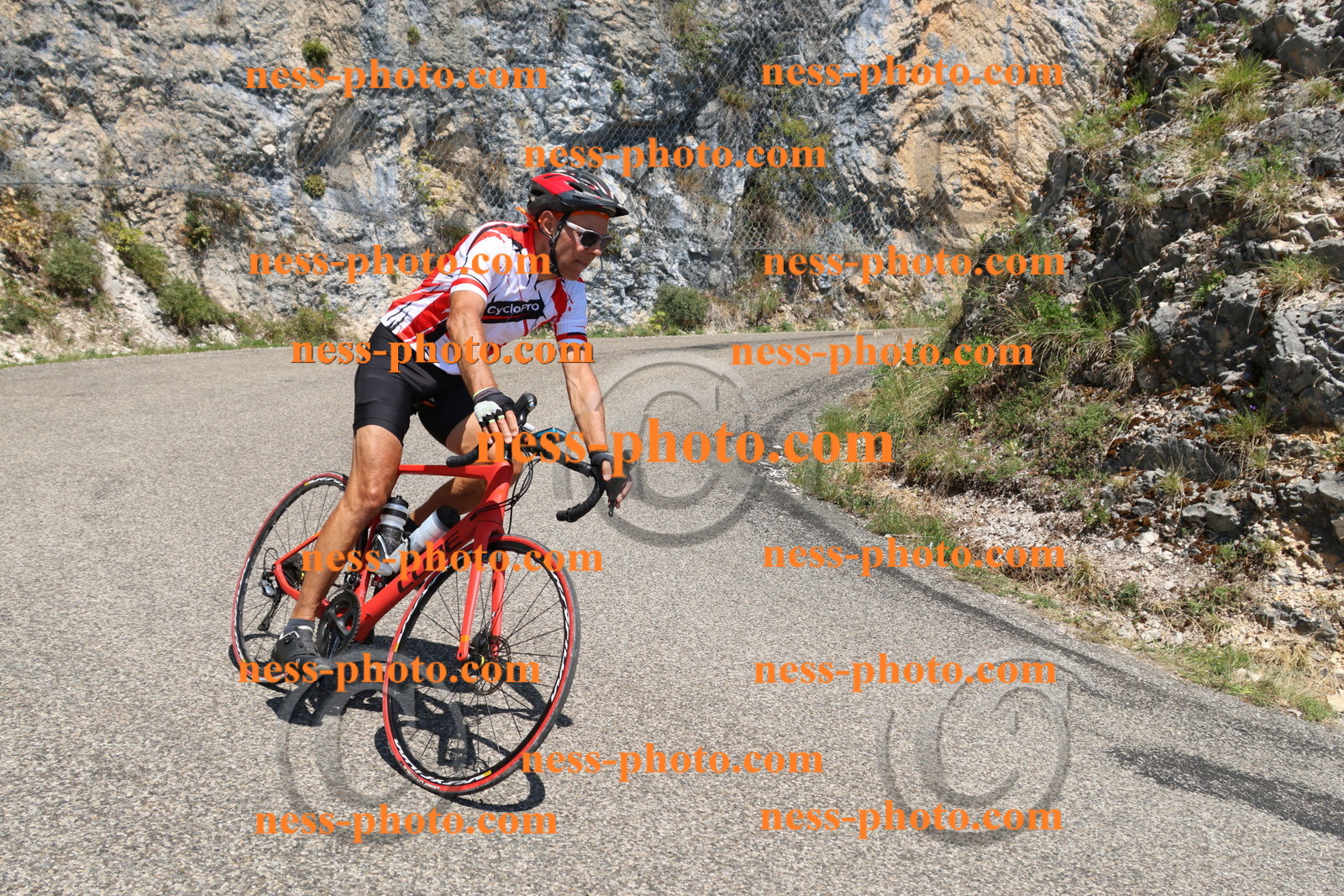 Col du Grand Colombier (491).JPG