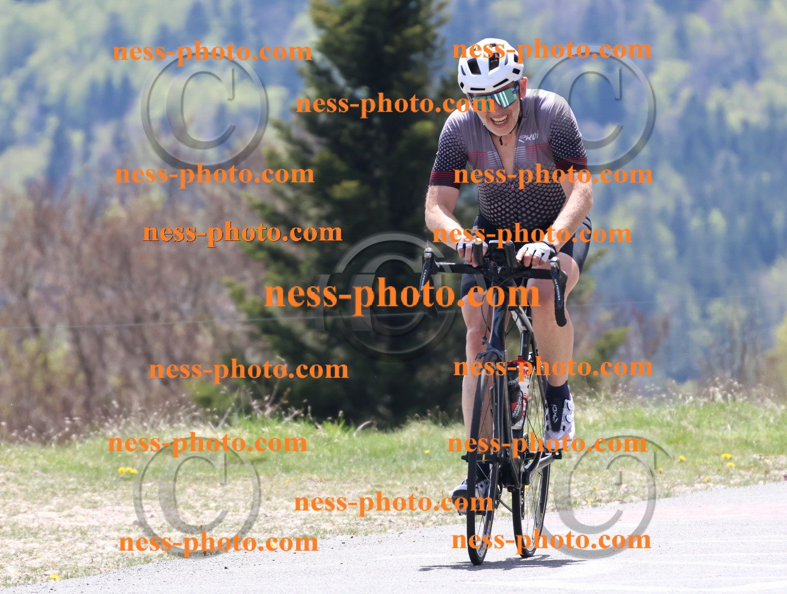 Col du Grand Colombier (523).JPG