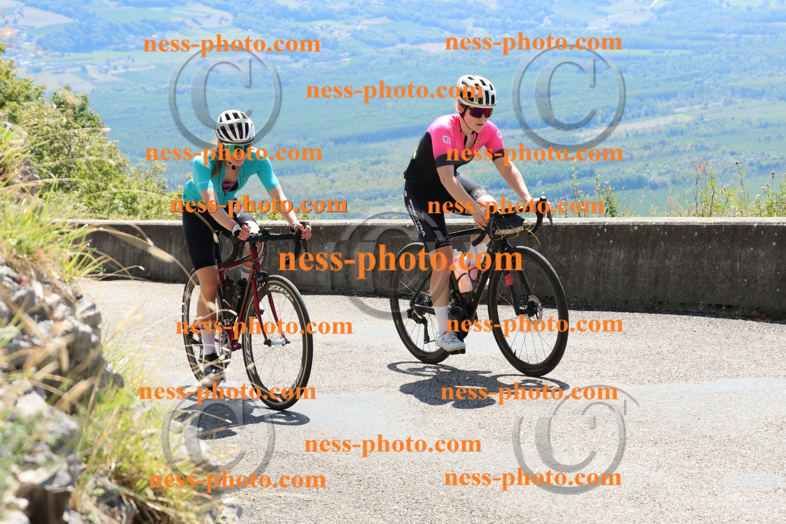 Col du Grand Colombier (301).JPG