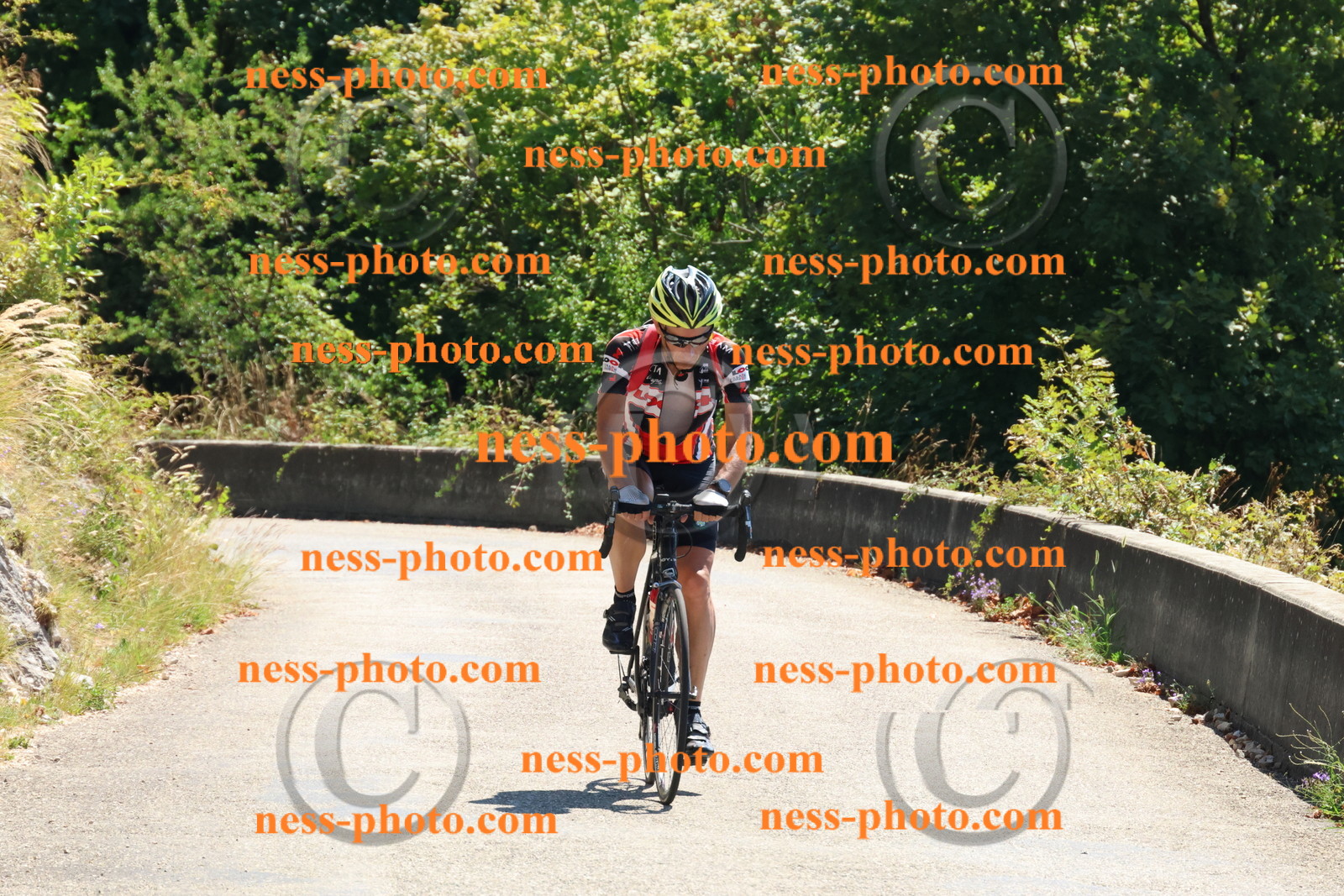 Col du Grand Colombier (213).JPG