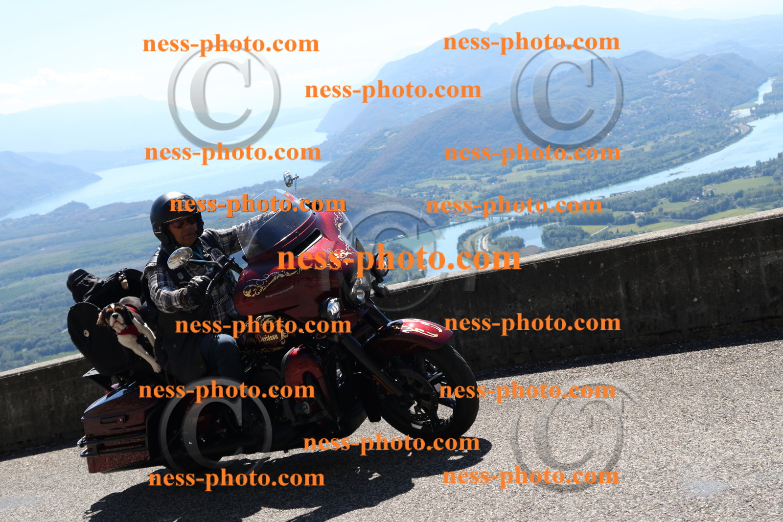 Col du Grand Colombier (265).JPG