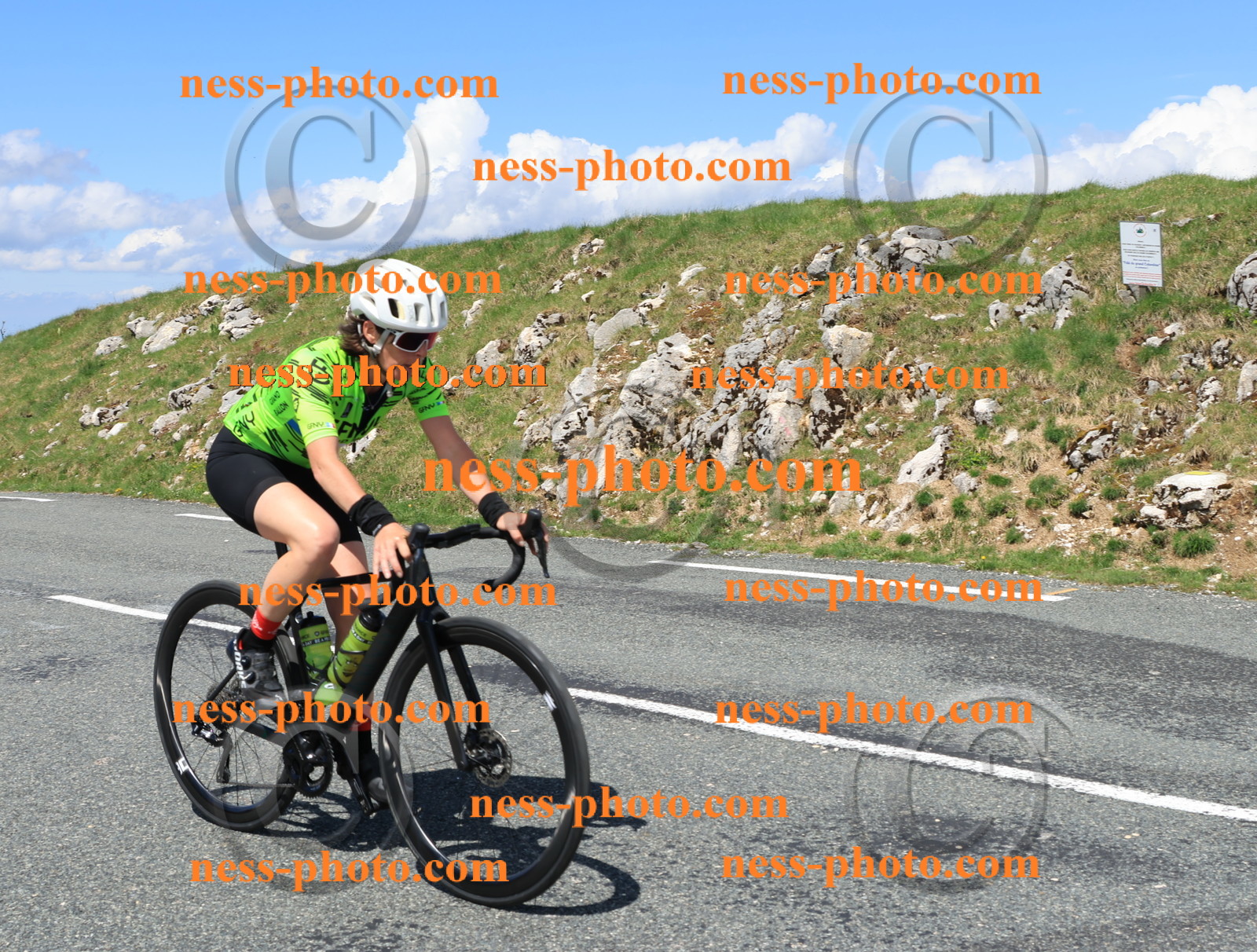 Col du Grand Colombier (2262).JPG