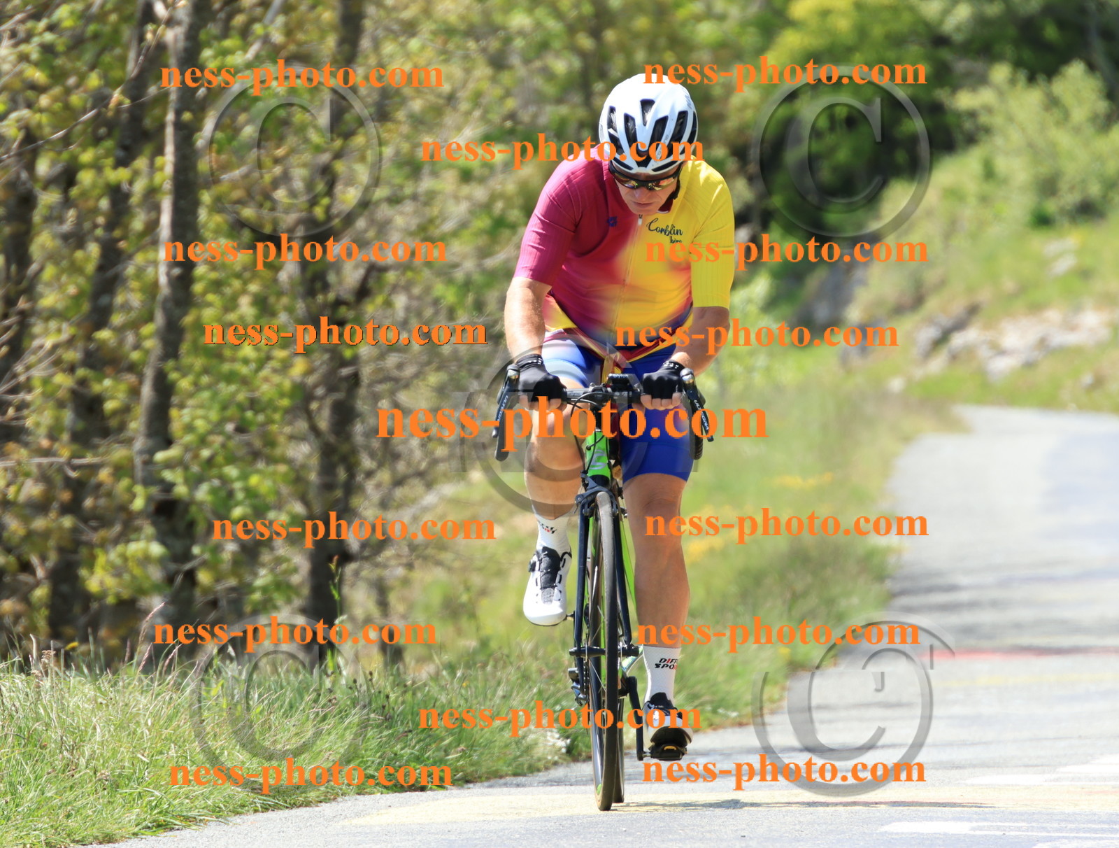 Col du Grand Colombier (111).JPG