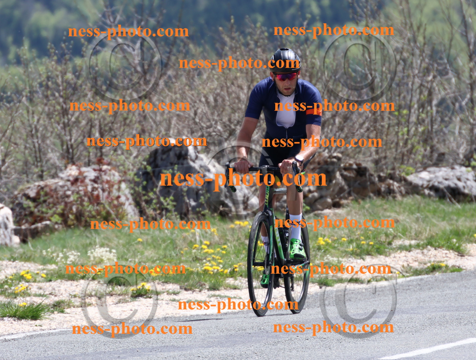 Col du Grand Colombier (810).JPG