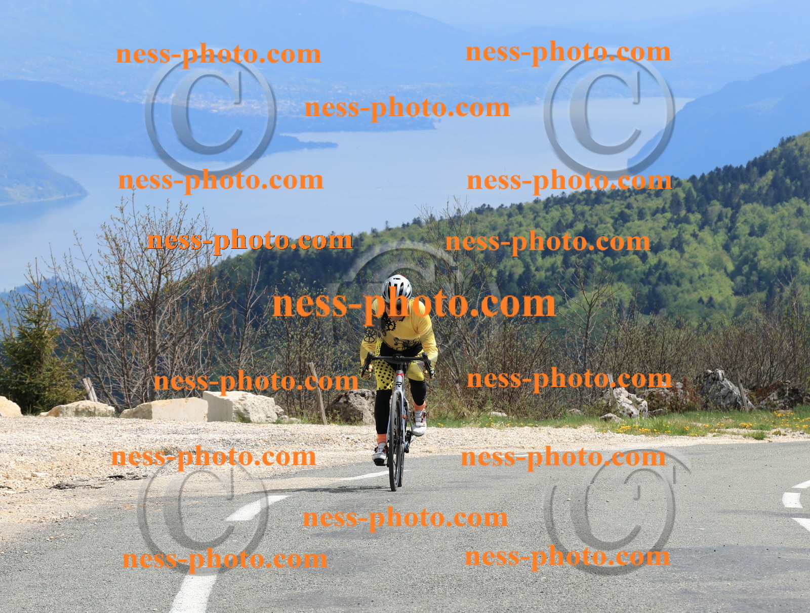 Col du Grand Colombier (3142).JPG