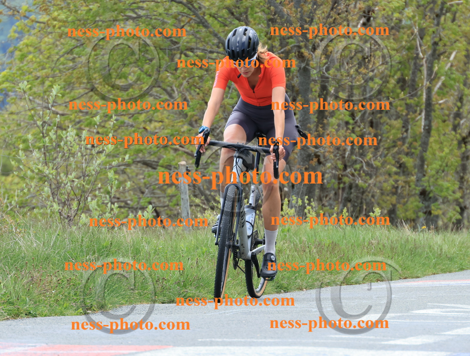 Col du Grand Colombier (389).JPG